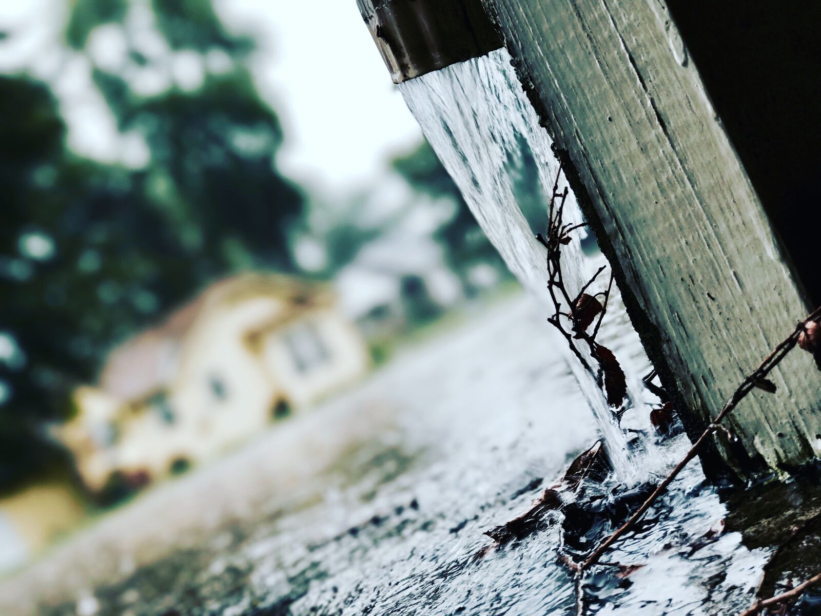 Apple iPhone 7 Plus sample photo. Action, blur, cold, dirt photography