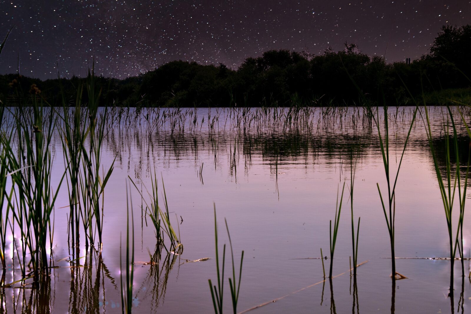 Nikon D5500 sample photo. Water, sky, lake photography