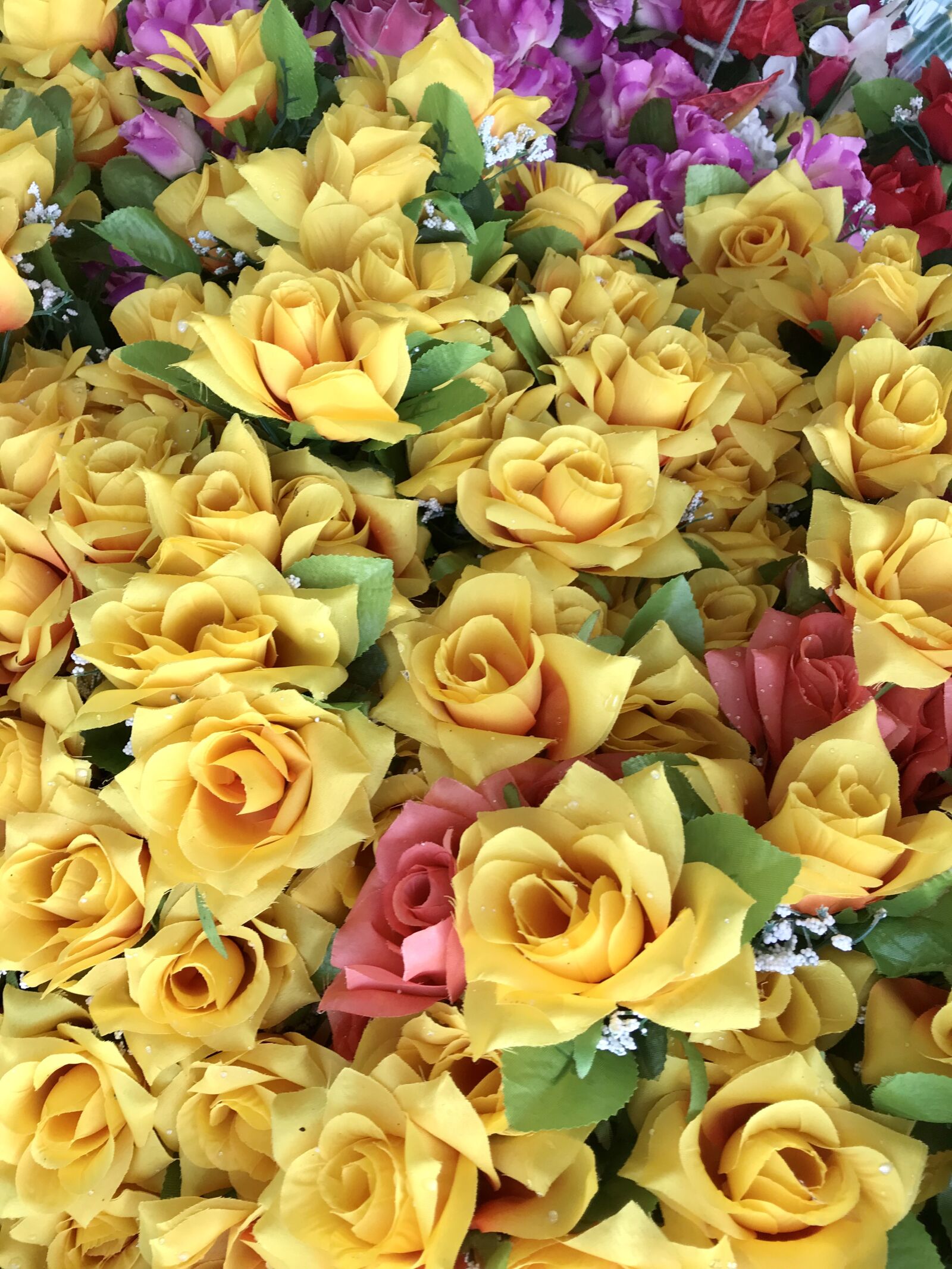 iPhone 7 back camera 3.99mm f/1.8 sample photo. Rose, flowers, decoration photography