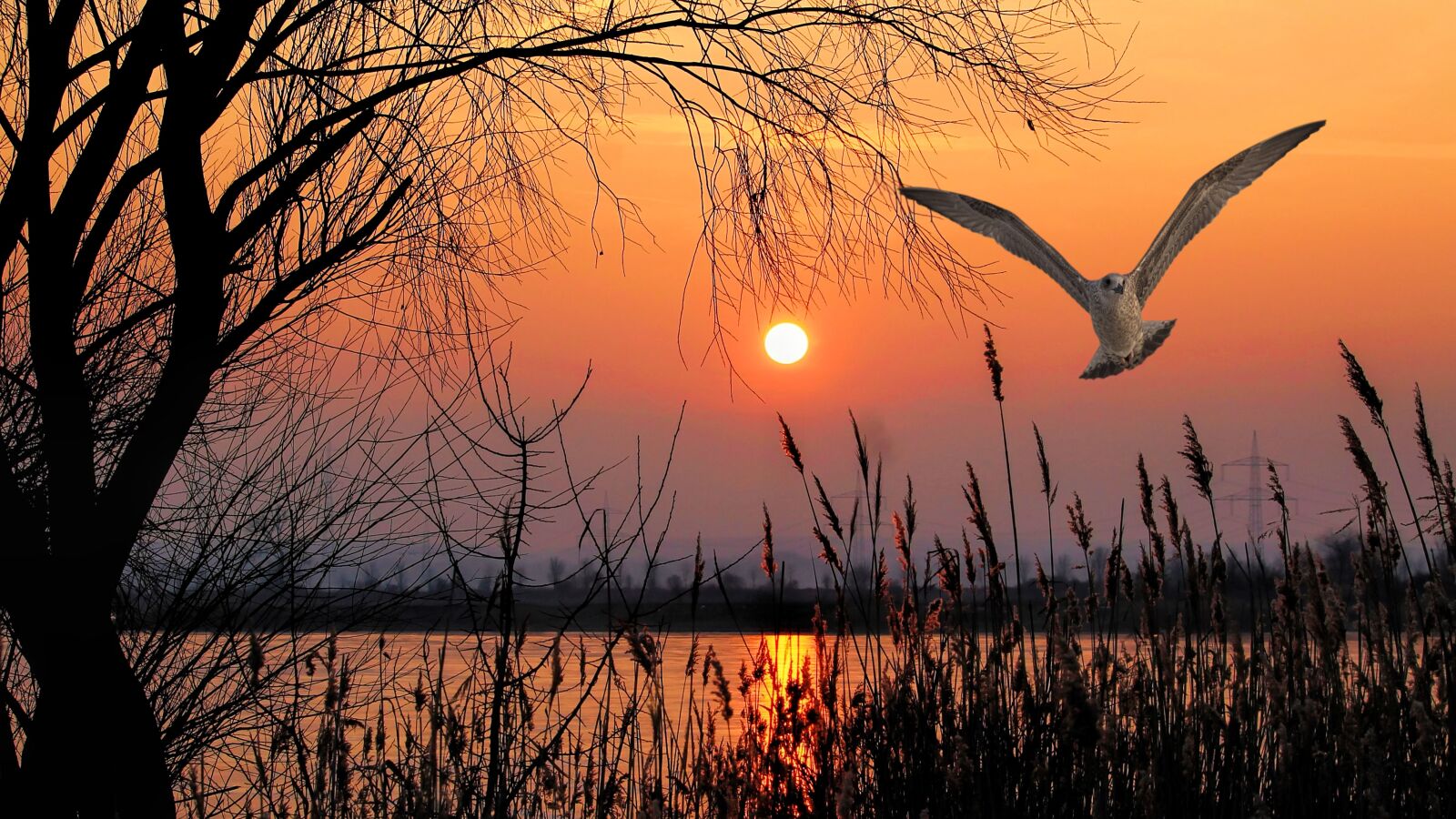 Canon EOS 1100D (EOS Rebel T3 / EOS Kiss X50) sample photo. Landscape, lake, bird photography