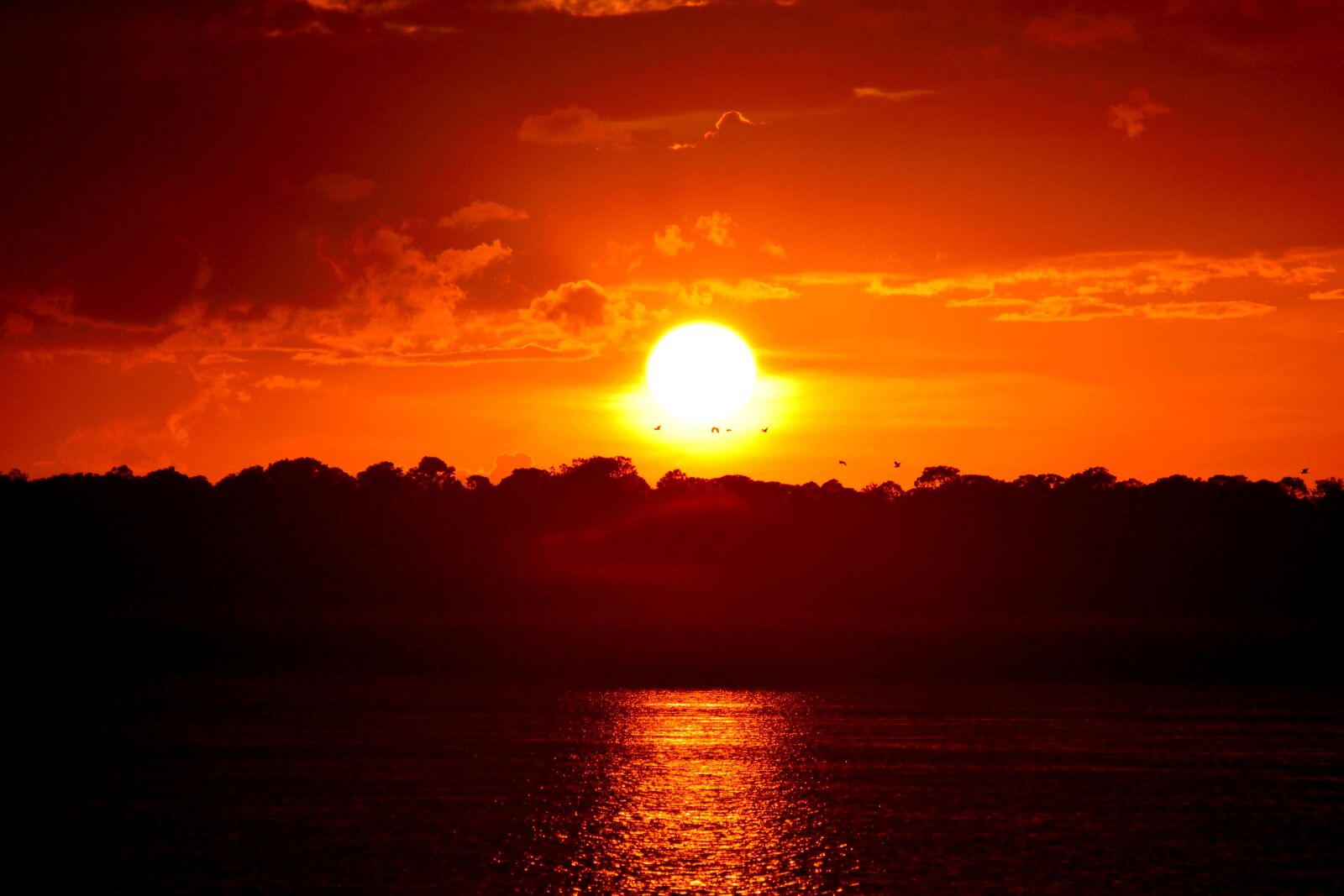 Nikon D3300 sample photo. Sunset, vibrant, orange color photography