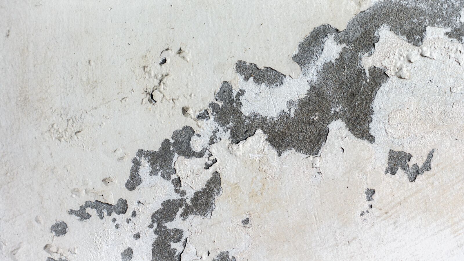 Sony Cyber-shot DSC-RX100 IV sample photo. Background, texture, wall photography
