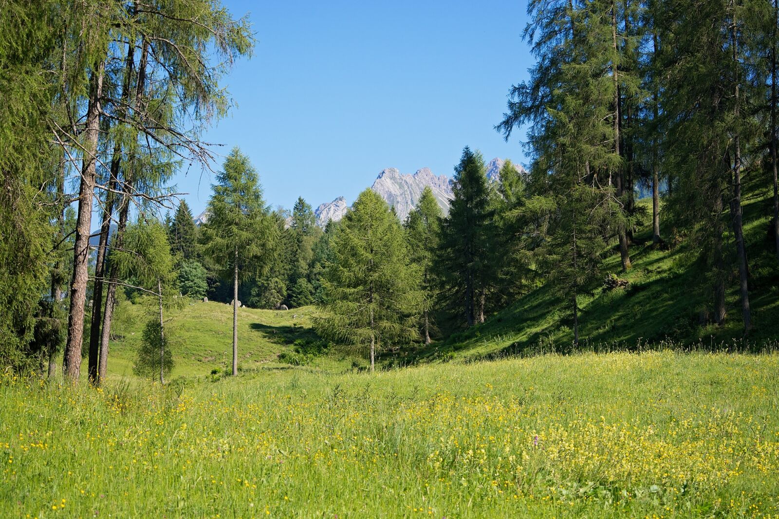 Nikon D7100 sample photo. Landscape, nature, meadow photography