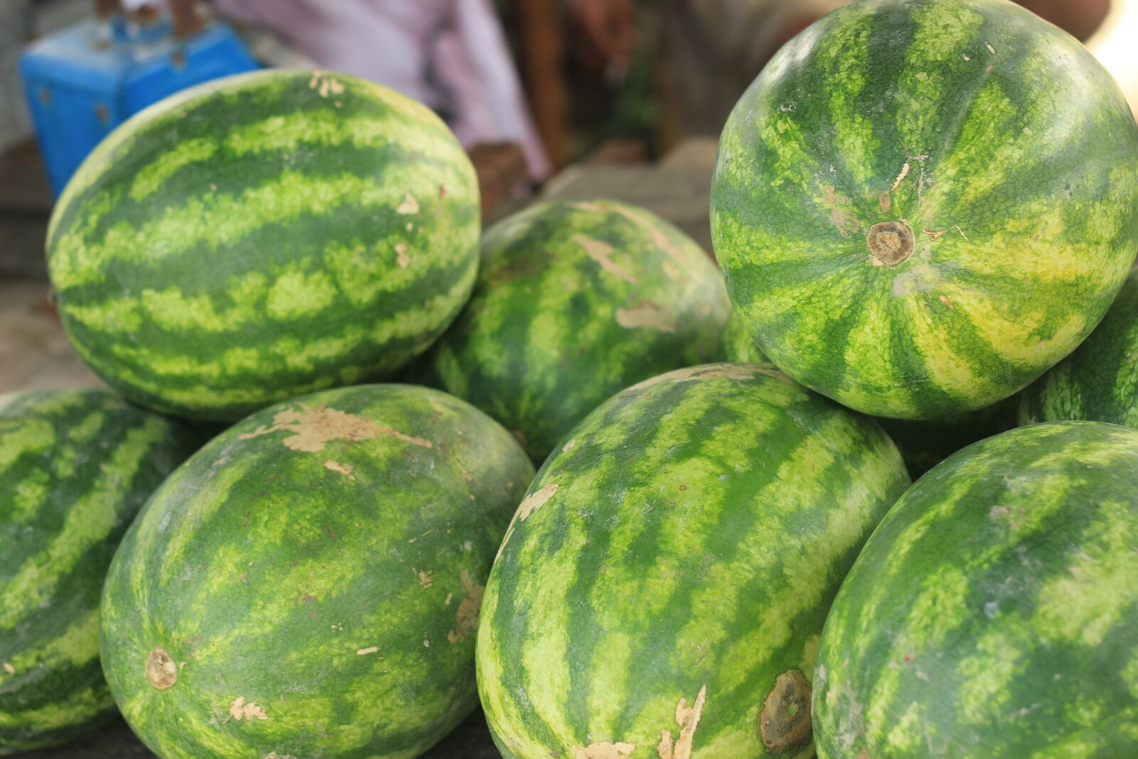 Canon EOS 550D (EOS Rebel T2i / EOS Kiss X4) sample photo. Water melons, fruit, fresh photography