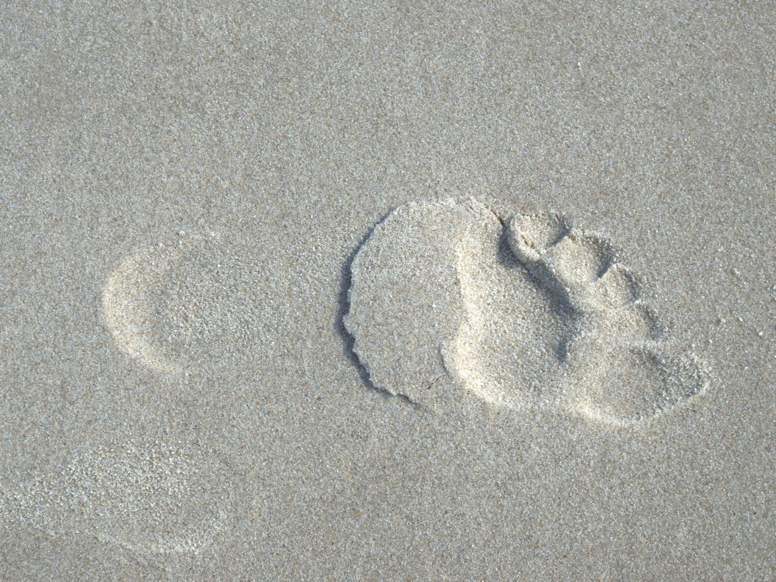 Nikon D5100 sample photo. Footprint, sand, beach photography