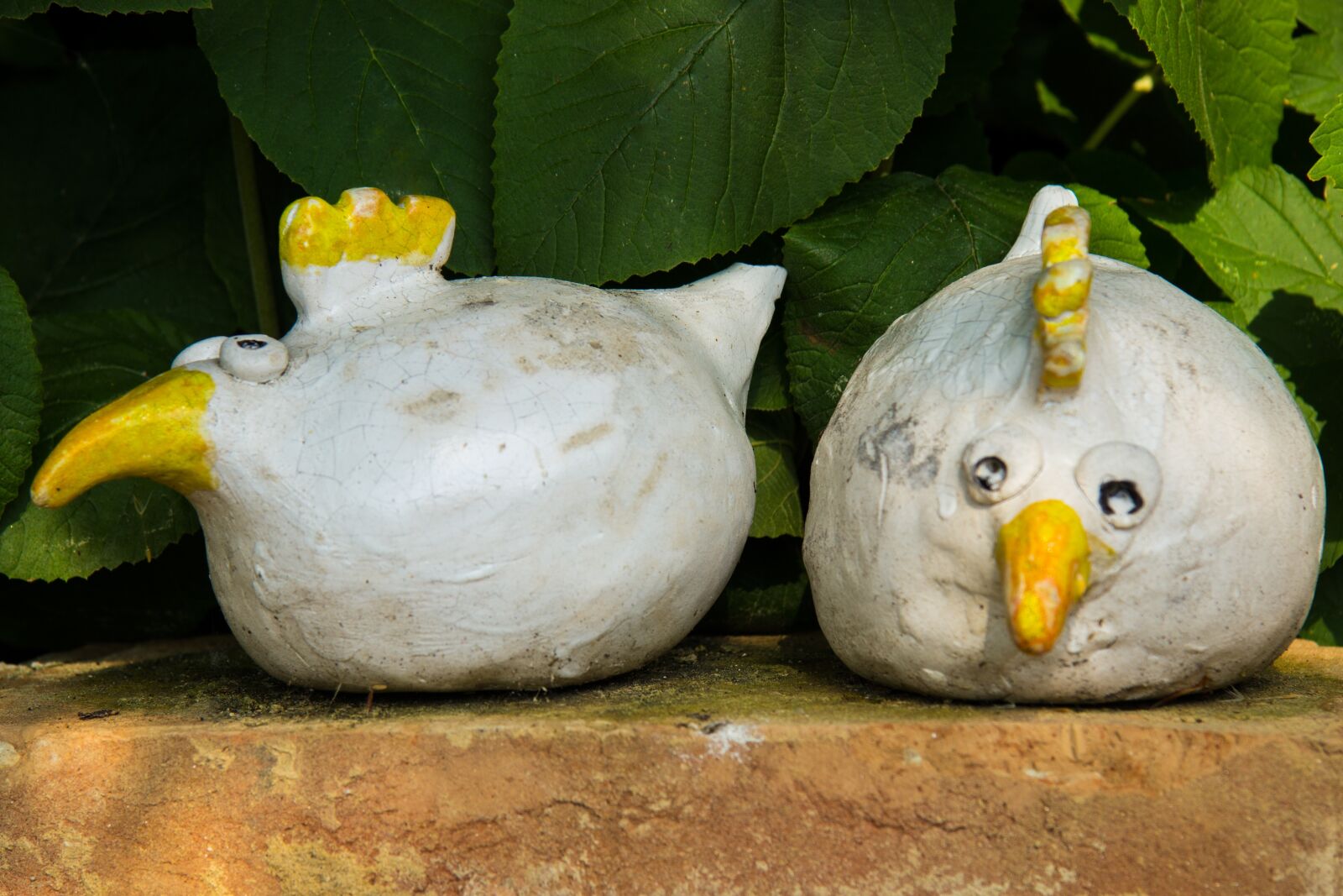 Canon EF-S 17-85mm F4-5.6 IS USM sample photo. Chicken, sound, glazed photography