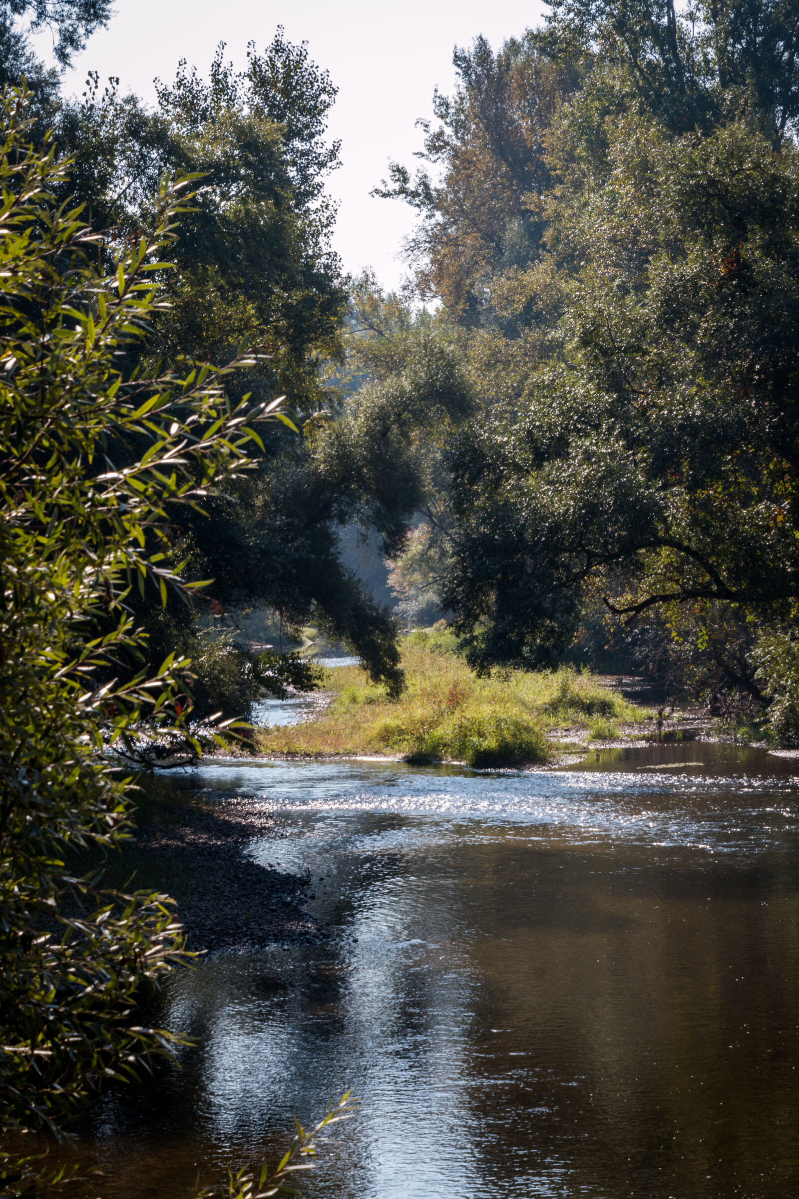 Canon EOS 70D sample photo. River, sun photography