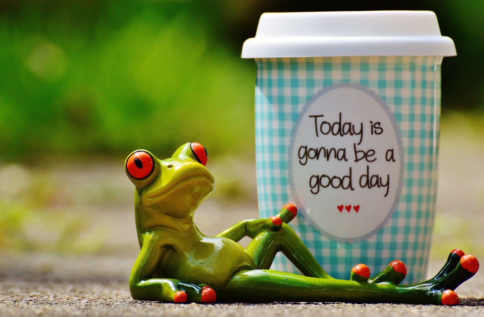 Nikon D3200 sample photo. Beautiful day, joy, frog photography