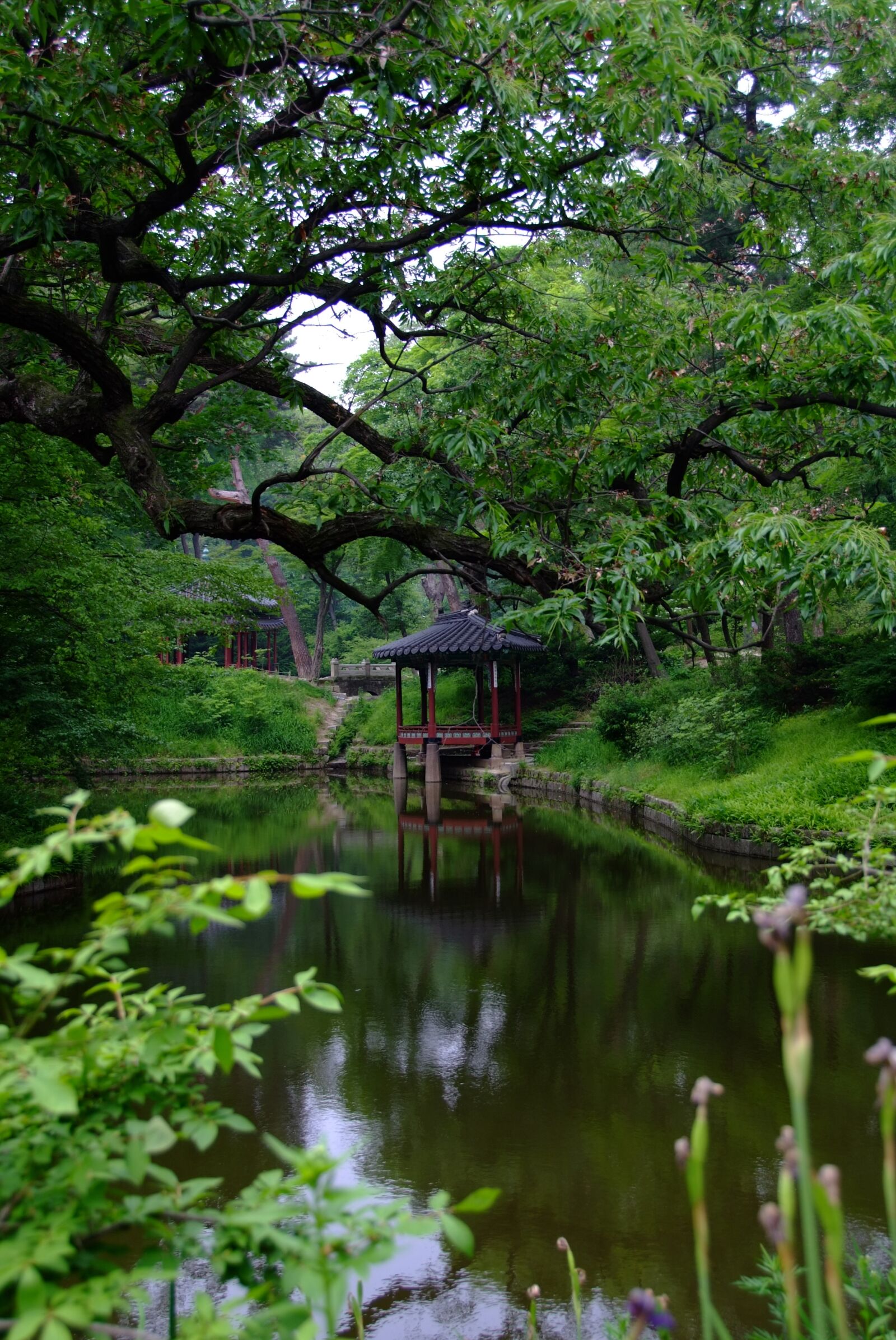 Fujifilm FinePix S5 Pro sample photo. Palaces, landscape, pond photography