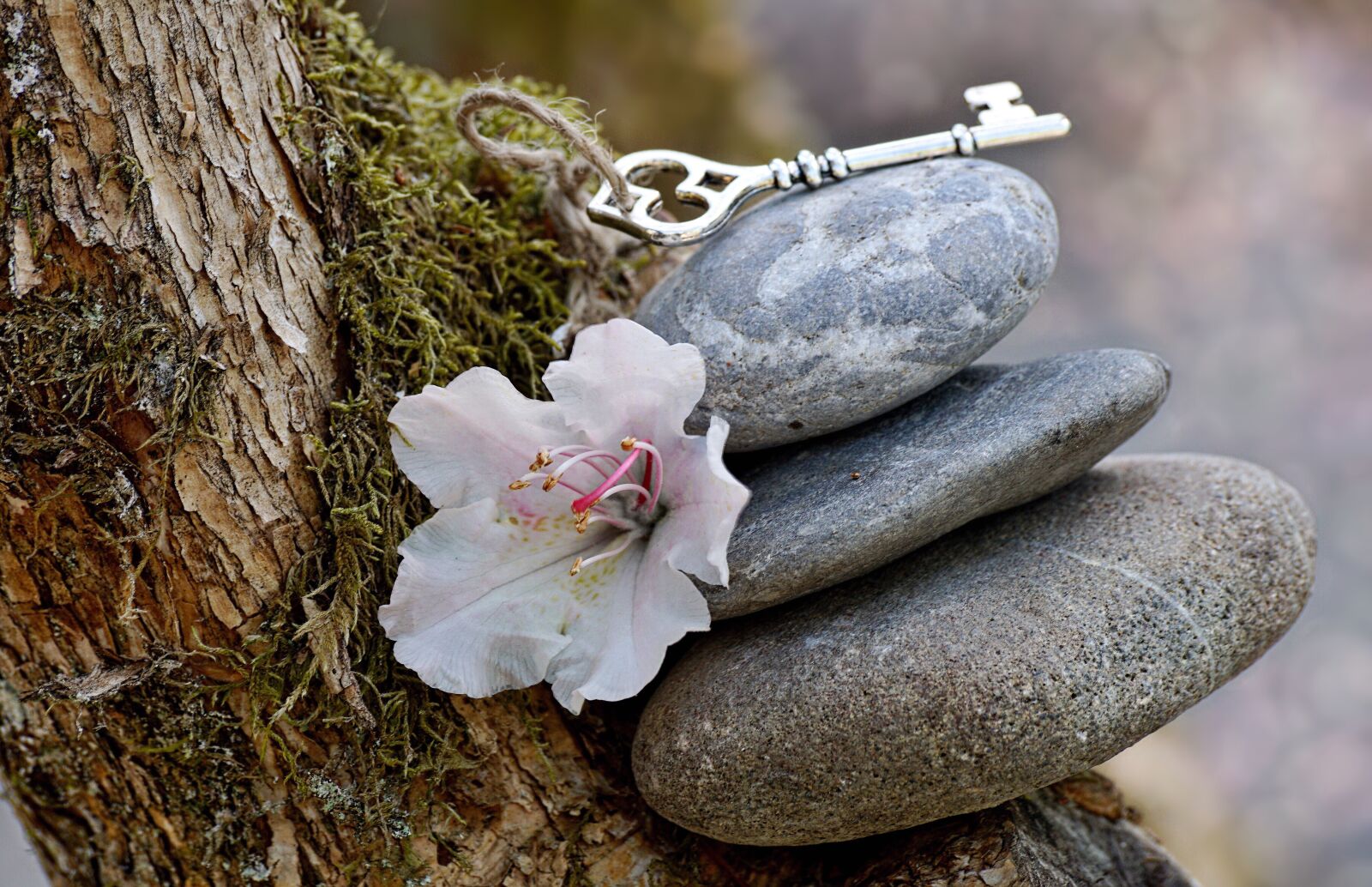 Sony DT 55-300mm F4.5-5.6 SAM sample photo. Stones, balance, harmony photography