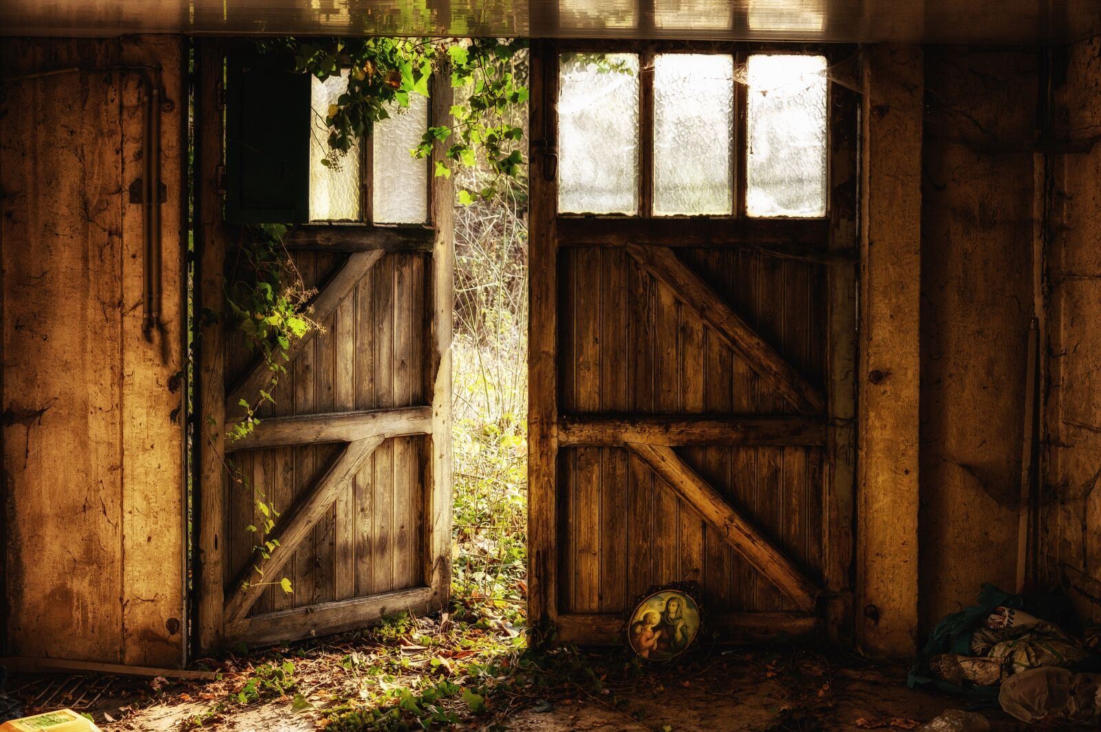 Nikon Z6 sample photo. Goal, door, input photography