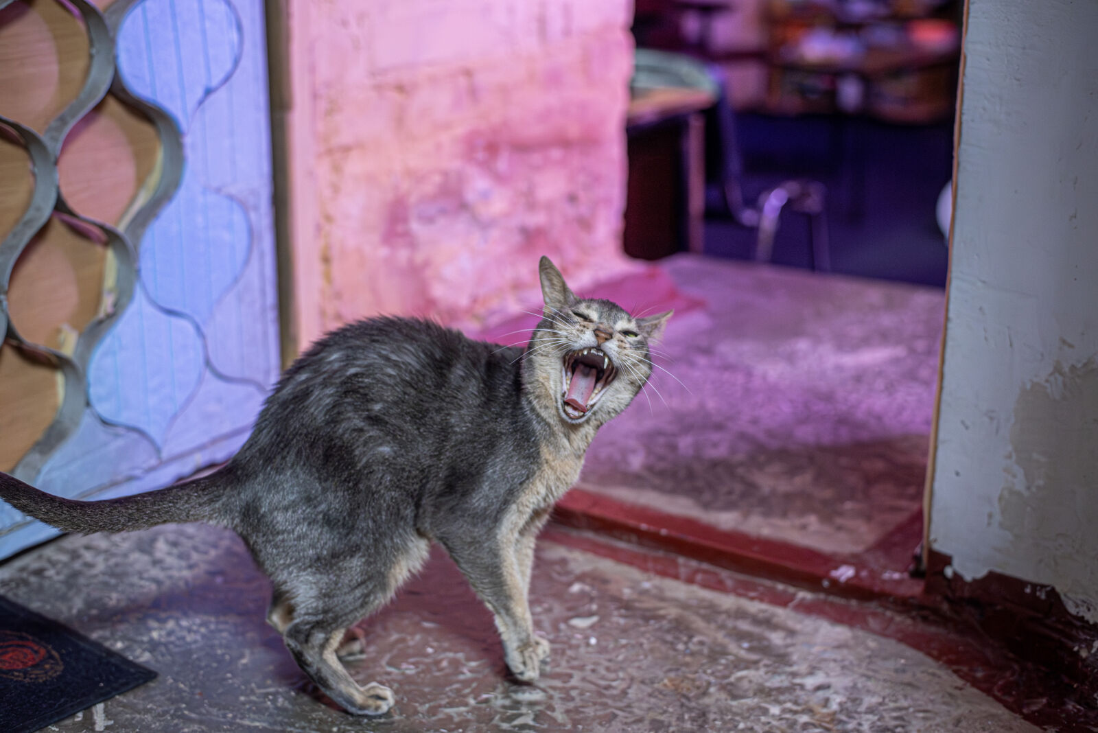Nikon D750 sample photo