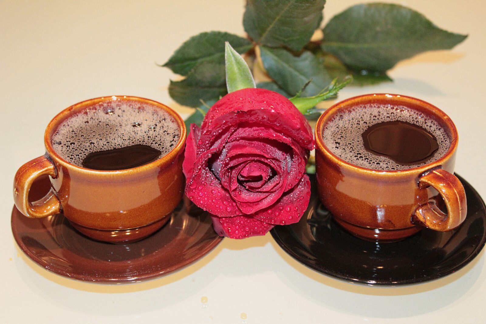 Canon EOS 600D (Rebel EOS T3i / EOS Kiss X5) sample photo. Rose, coffee, cups photography