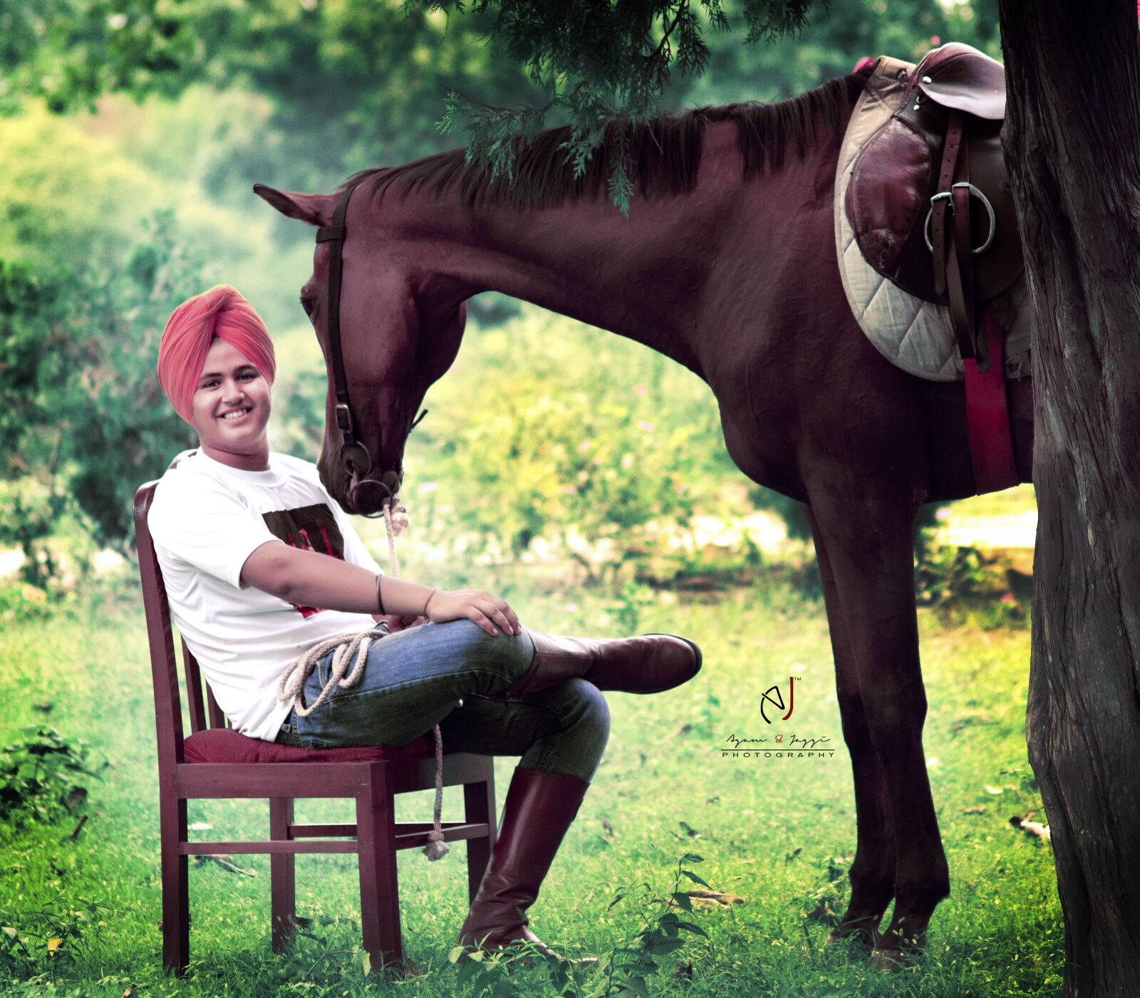 Sigma 70-300mm F4-5.6 DG OS sample photo. Animal, photography, horse, india photography