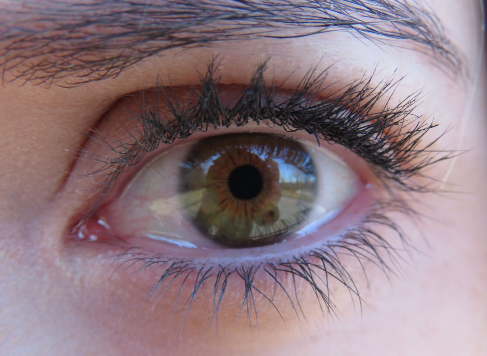 Canon PowerShot SX540 HS sample photo. Eyelash, eyeball, eyebrow photography