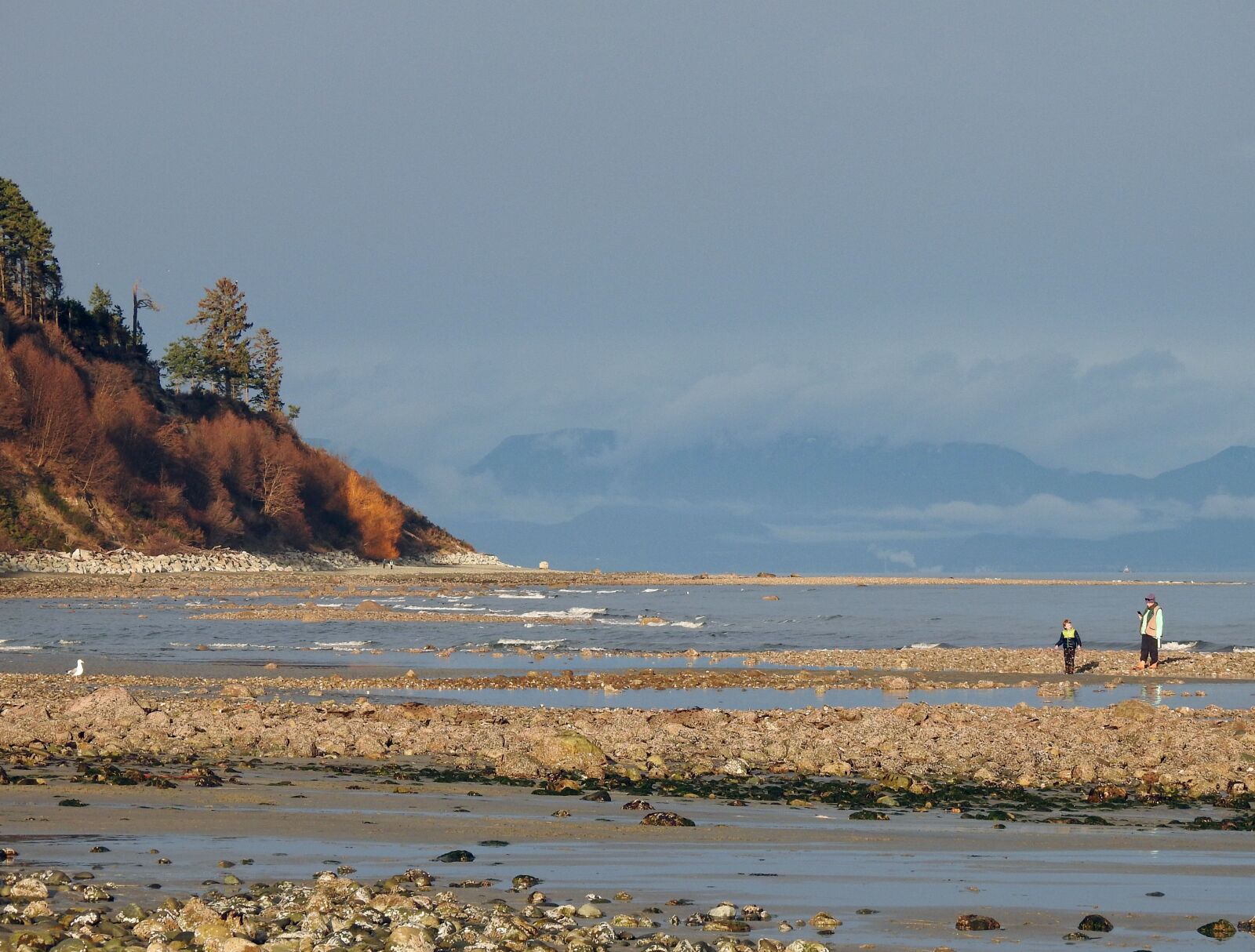 Nikon Coolpix P900 sample photo. Goose spit, comox, mountains photography