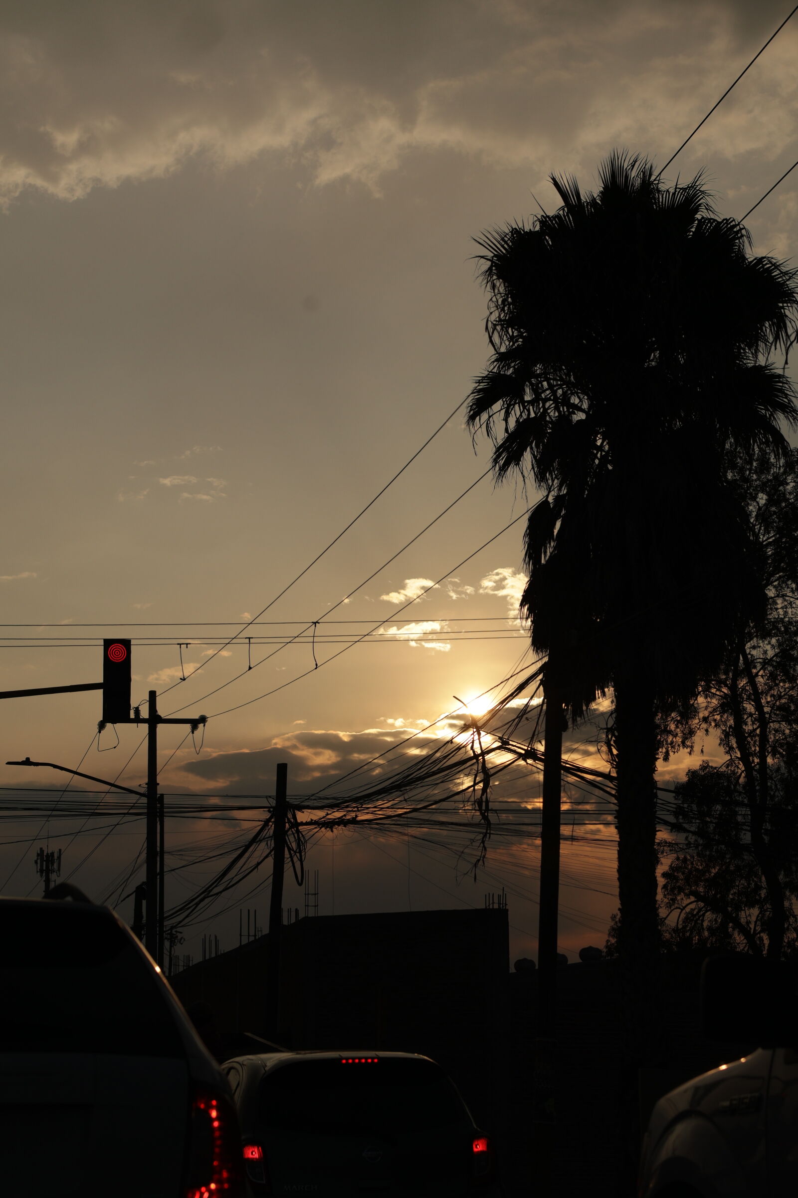 Canon RF 50mm F1.8 STM sample photo