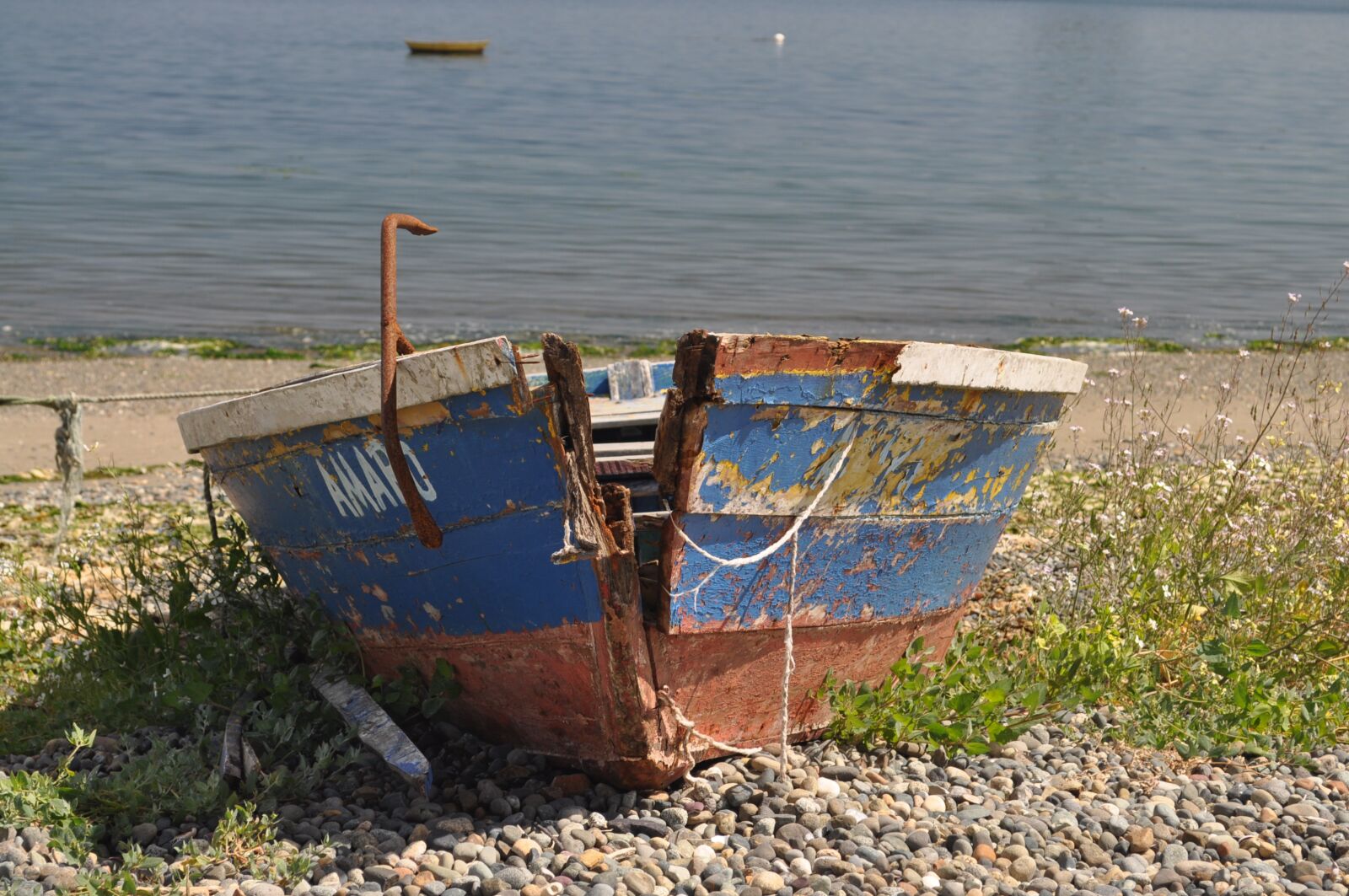Nikon D5000 sample photo. Barca, old, wood photography
