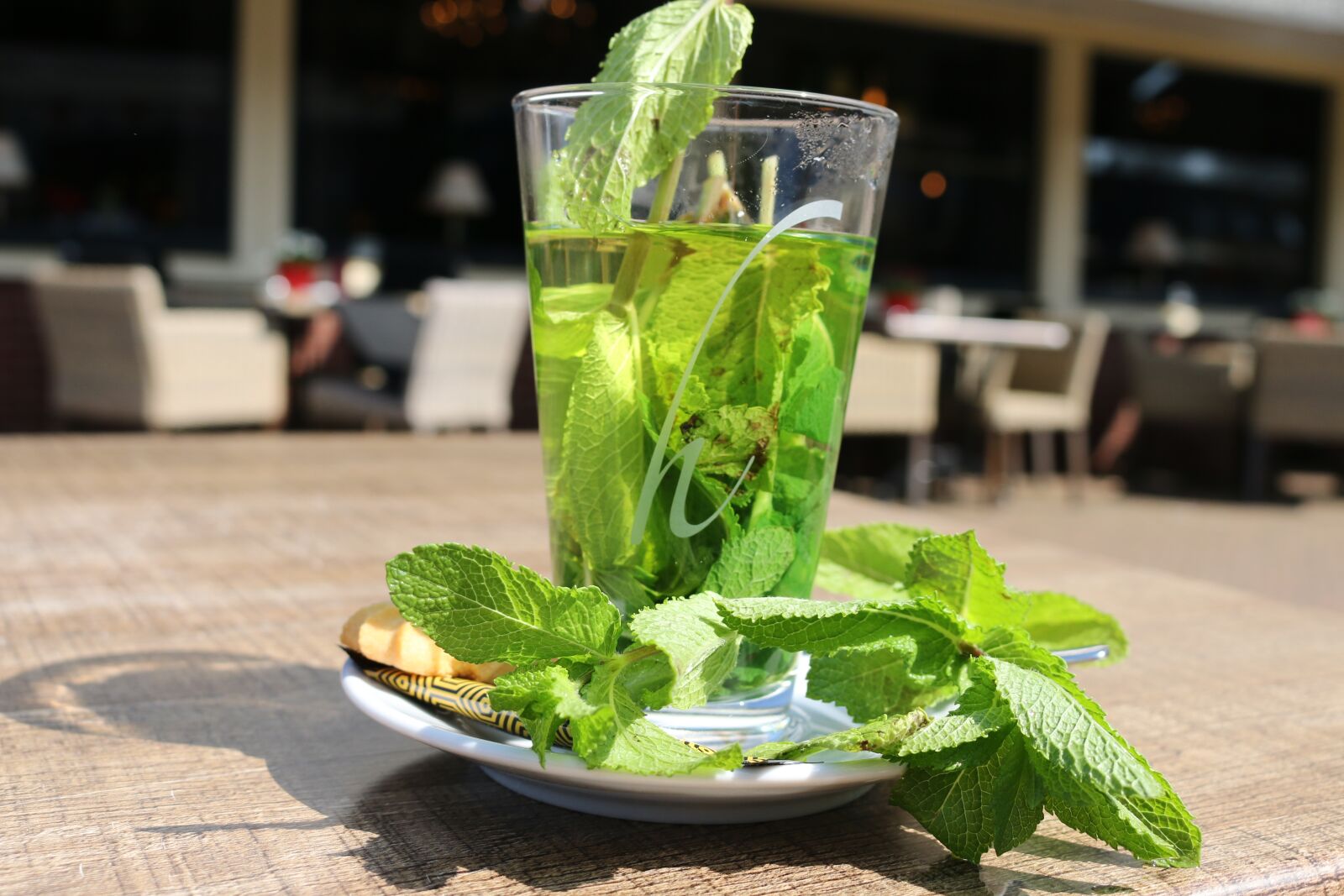Canon EOS 70D sample photo. Fresh mint, tea, drink photography