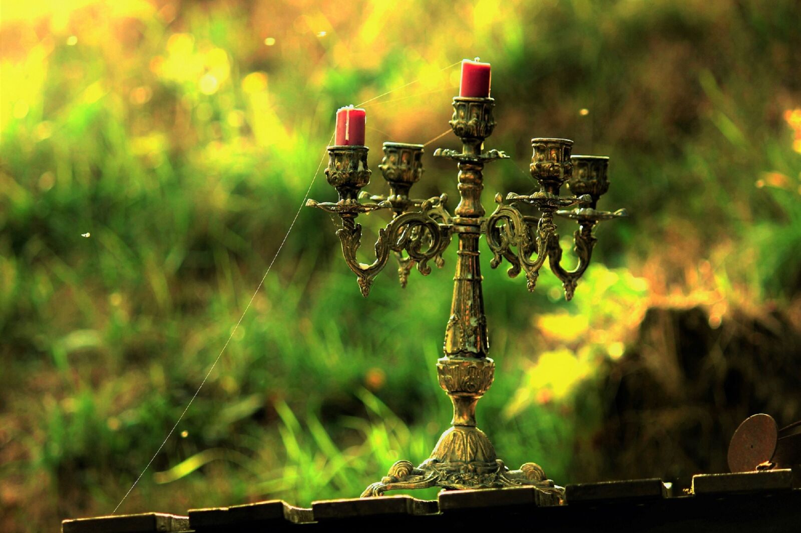 Canon EOS 600D (Rebel EOS T3i / EOS Kiss X5) sample photo. Candle holders, cobweb, old photography