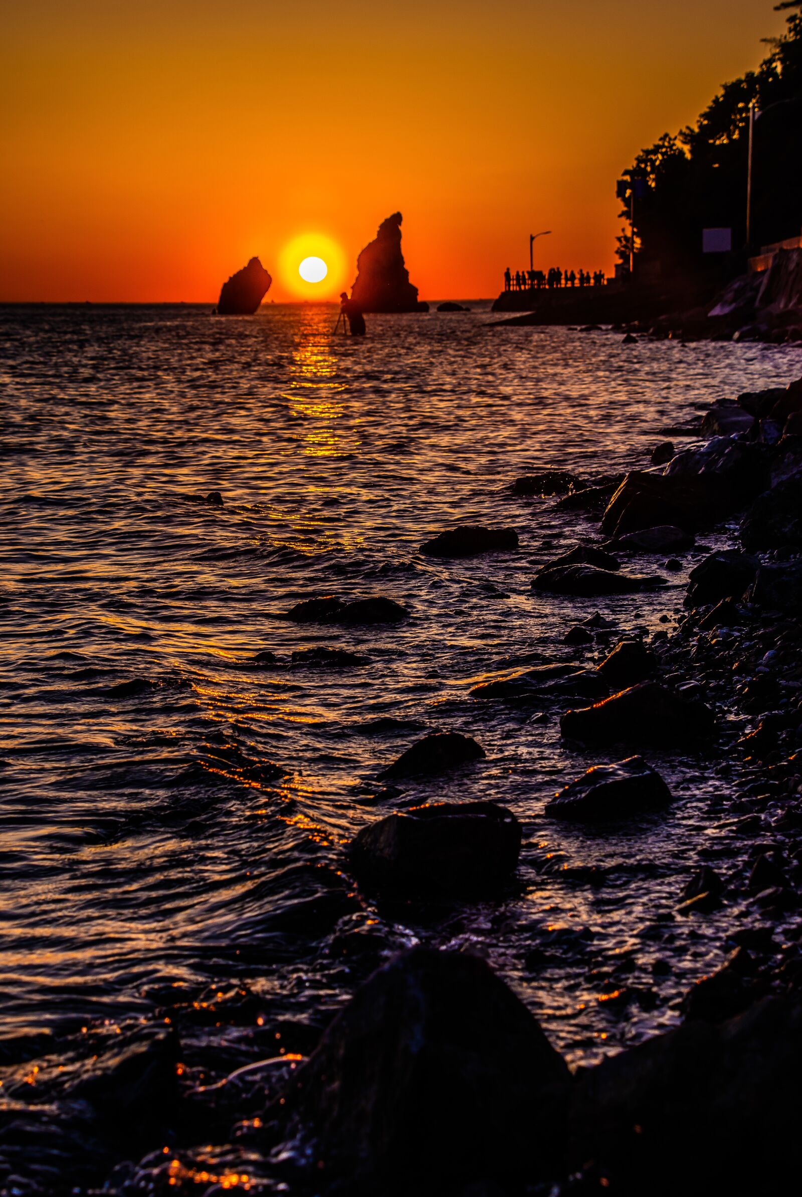 Nikon D7200 sample photo. Buy buds, daebudo, sea photography