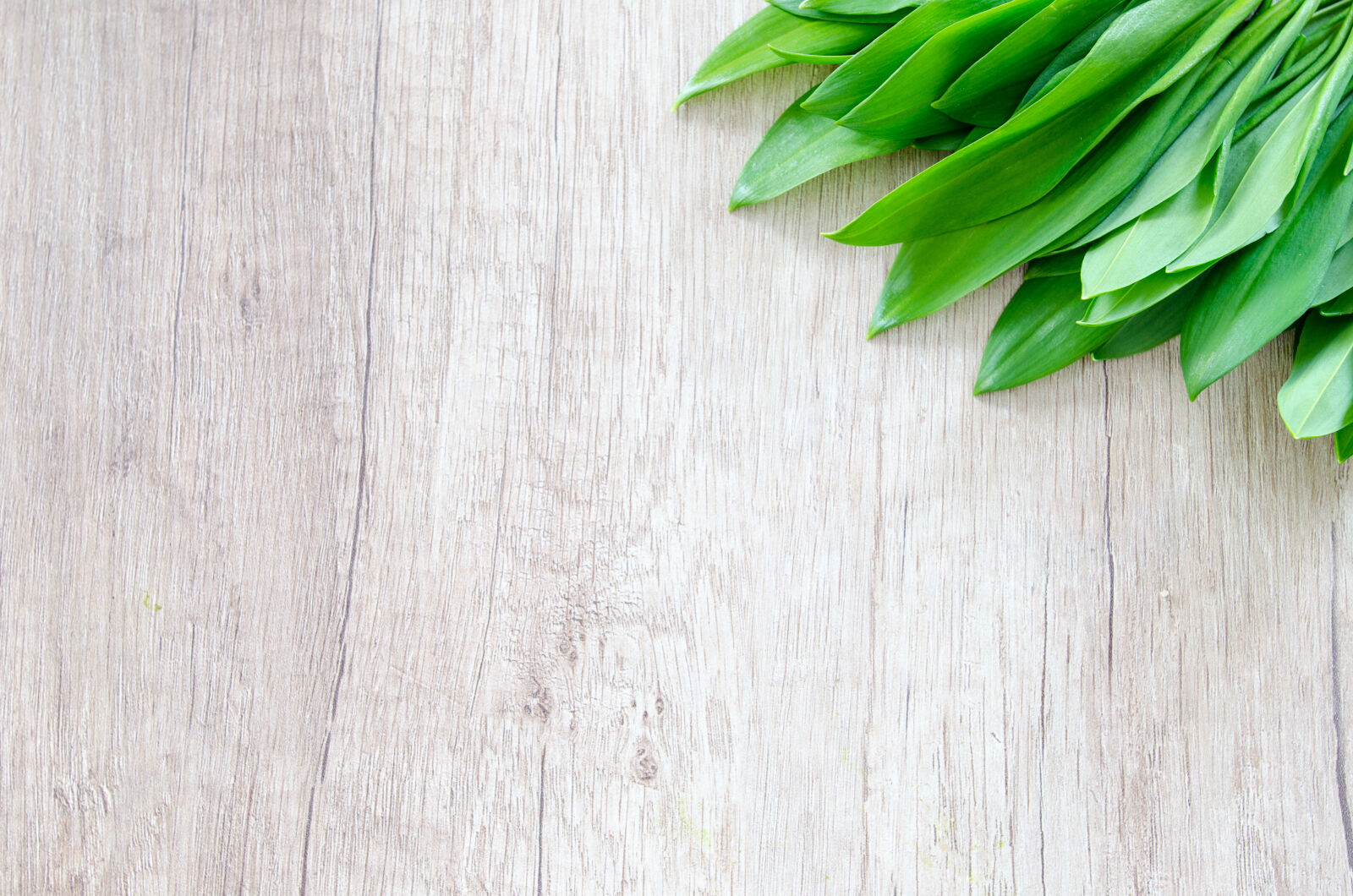 Nikon D5100 sample photo. Allium, aromatic, background, bear photography