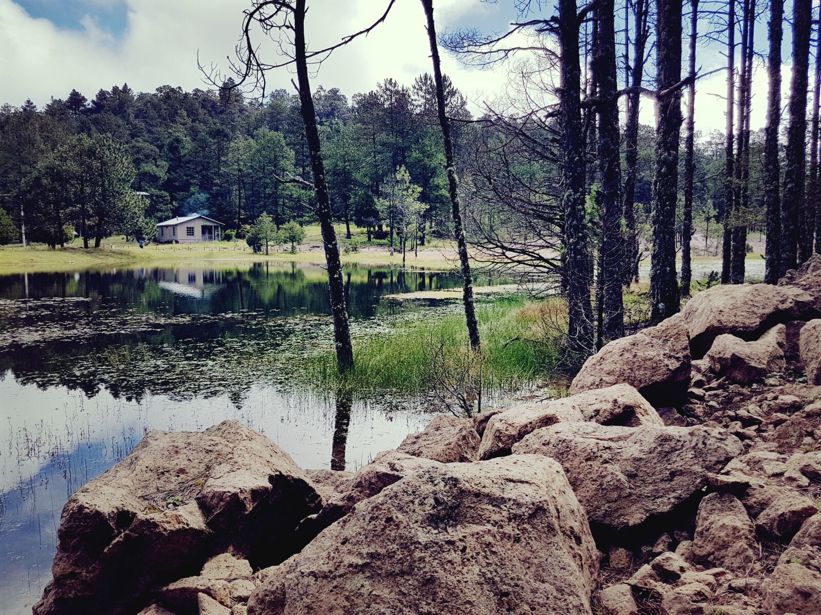 Samsung Galaxy S7 Edge sample photo. Woods, cabin, water photography
