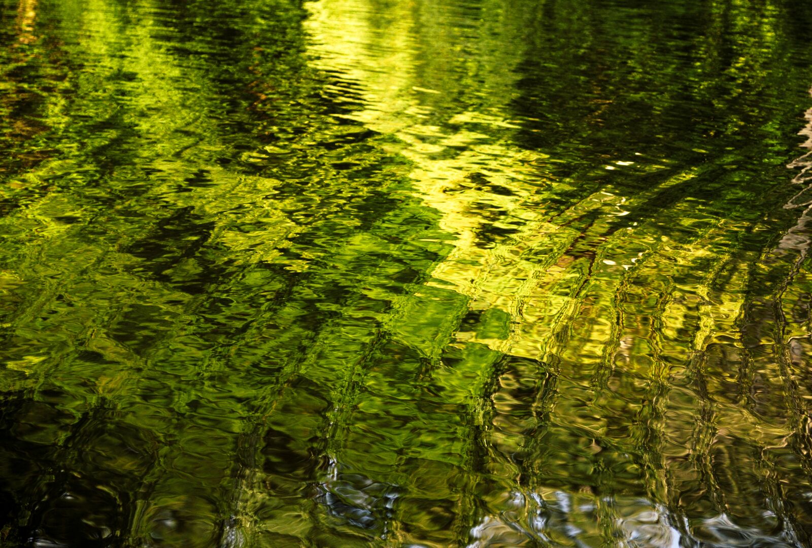 Nikon D610 sample photo. Water, color, green photography
