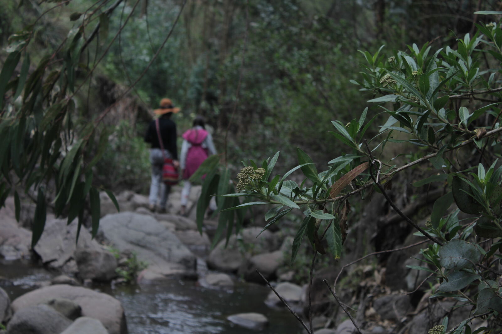 Canon EOS 60D + Canon EF-S 18-55mm F3.5-5.6 IS sample photo. Adventure, mountain, moving, walkway photography