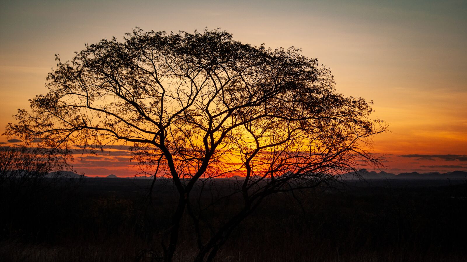 Nikon D5000 sample photo. Sunset, sky, twilight photography
