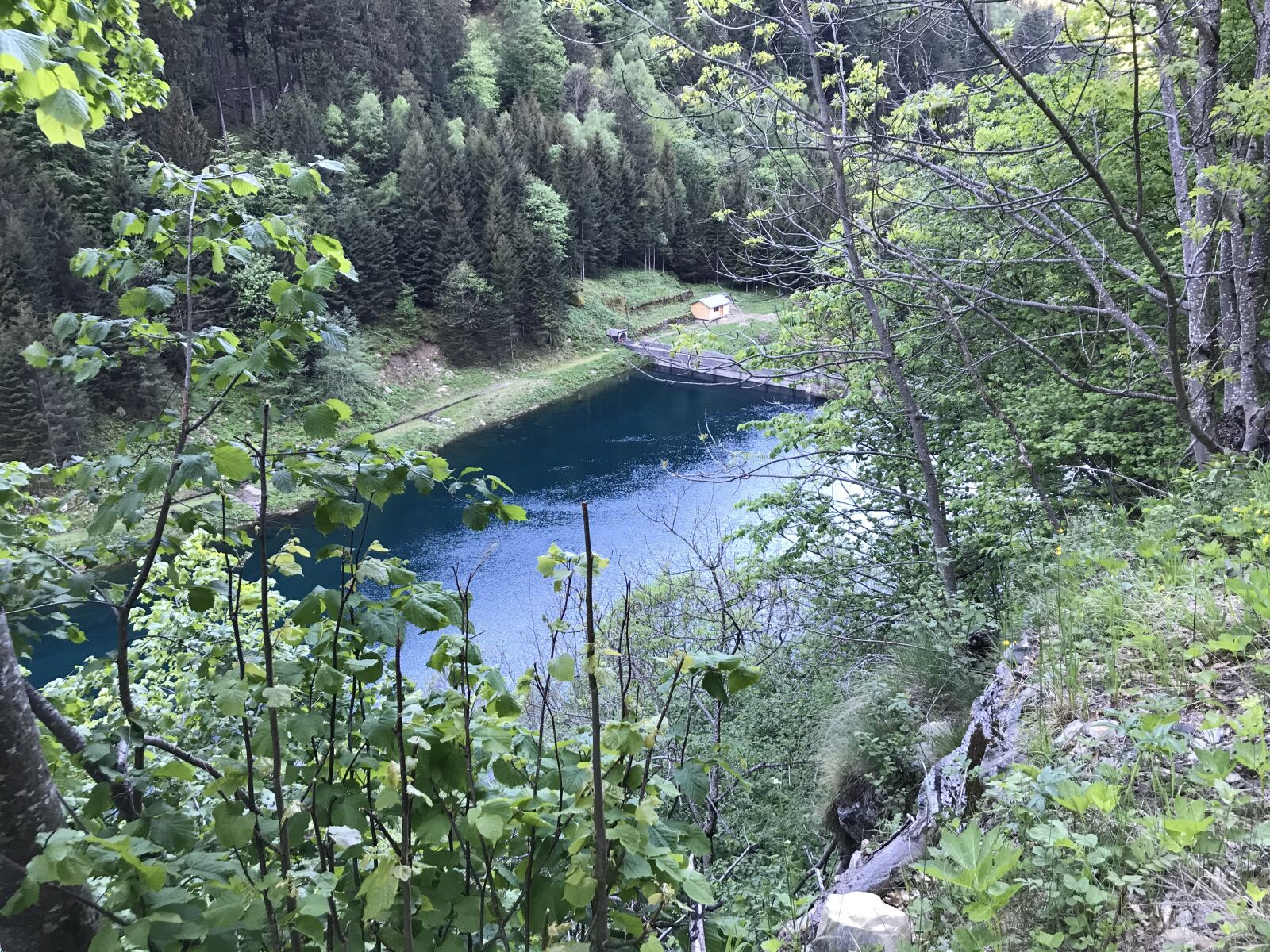 iPhone 7 back camera 3.99mm f/1.8 sample photo. Dam darbola, alpine route photography
