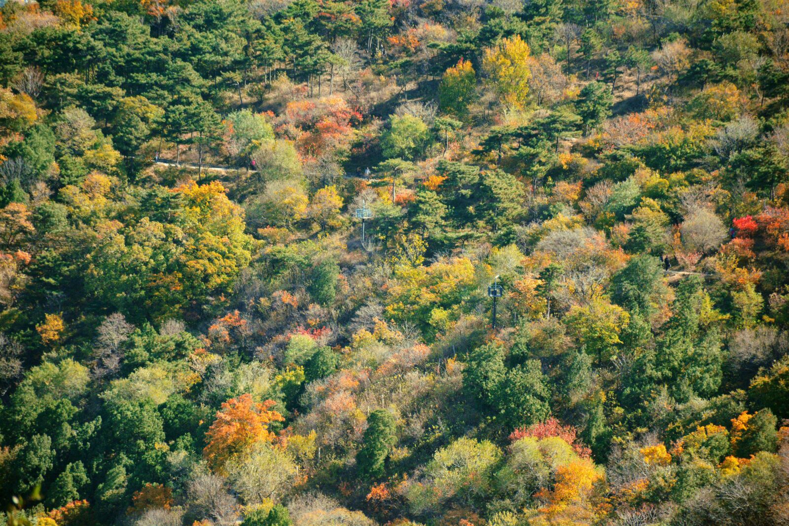 Nikon D7100 sample photo. Autumn, beijing, fragrant hill photography