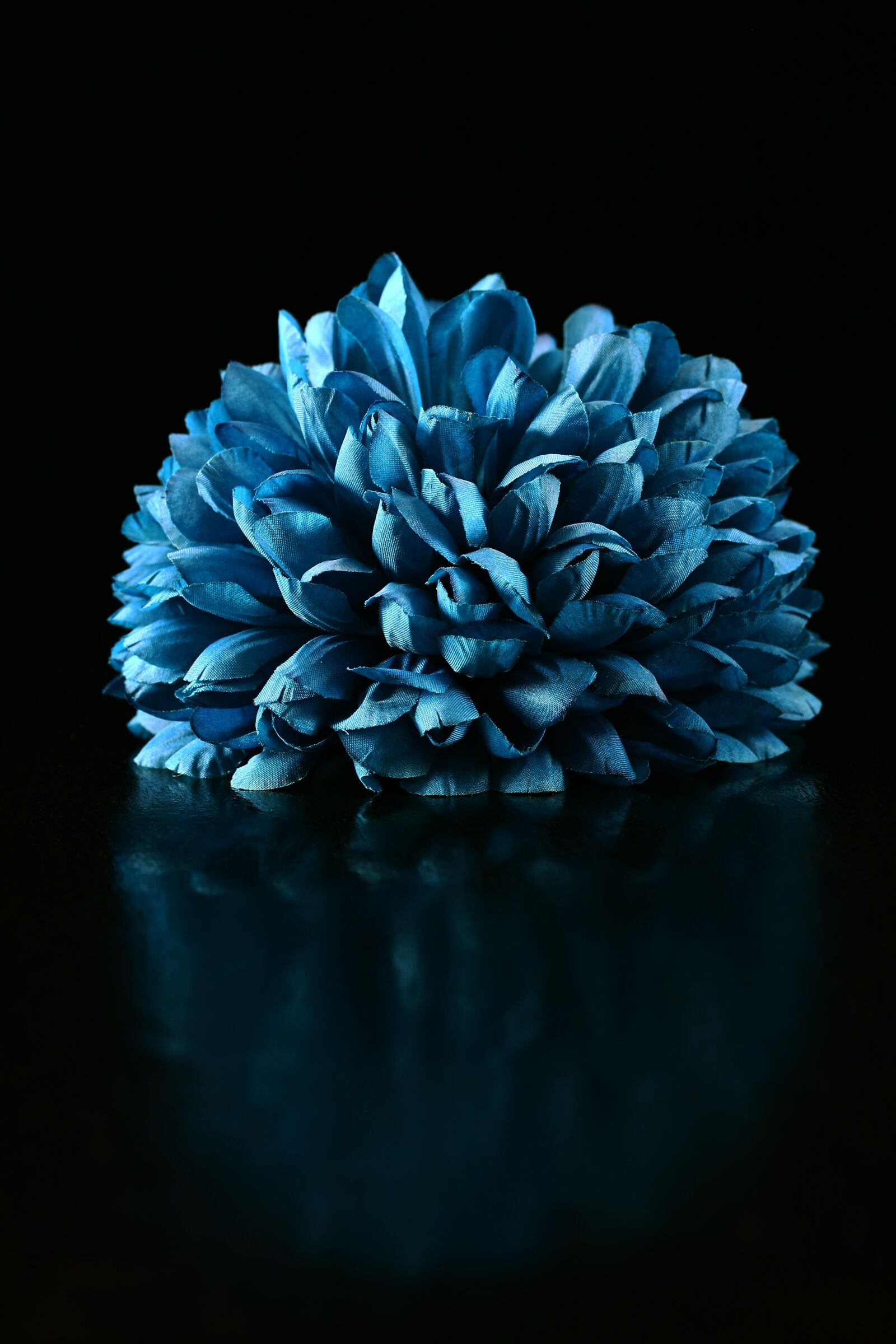 Canon EOS 40D sample photo. Blue artificial hydrangea, hydrangea photography
