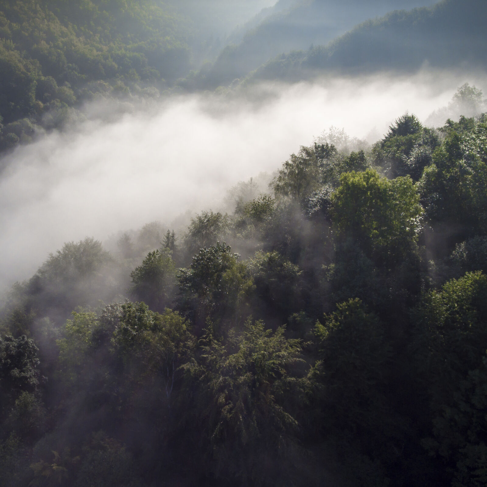 DJI FC330 sample photo