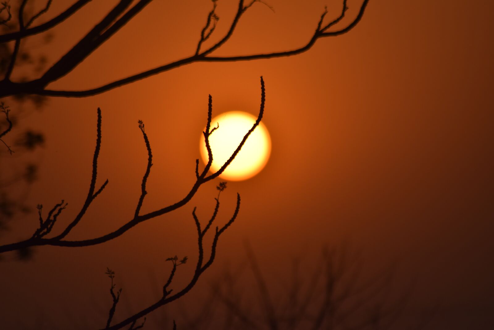 Nikon D3300 sample photo. Sunset, desktop, silhouette photography
