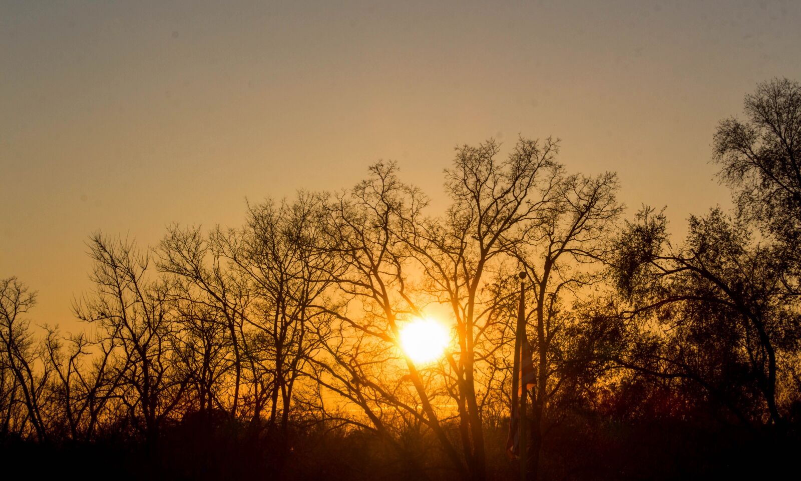 Canon EOS 700D (EOS Rebel T5i / EOS Kiss X7i) sample photo. Dawn, tree, nature photography
