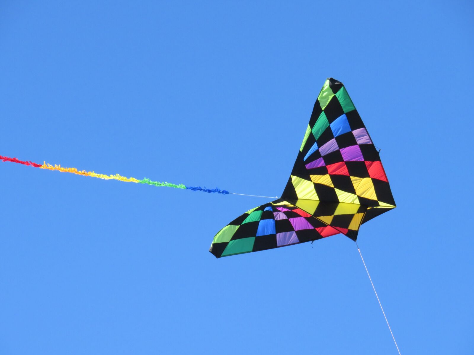 Canon PowerShot SX710 HS sample photo. Dragon, flying object, wind photography