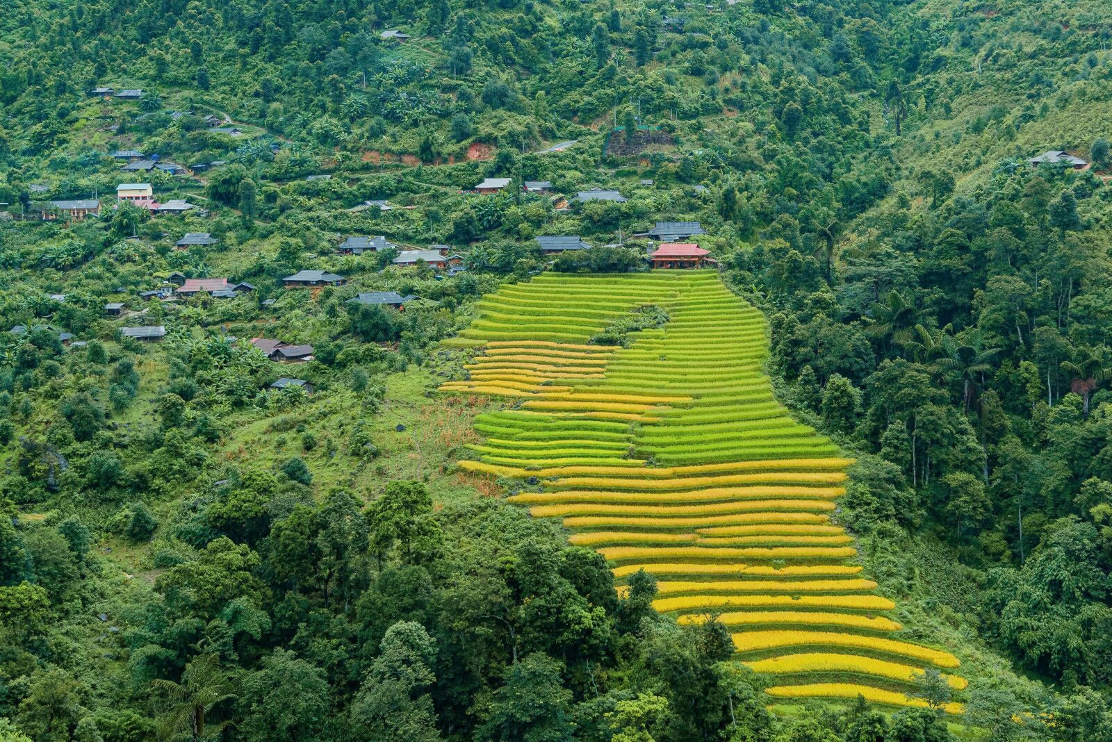 Nikon D750 sample photo. Terraces, vietnam, silk photography