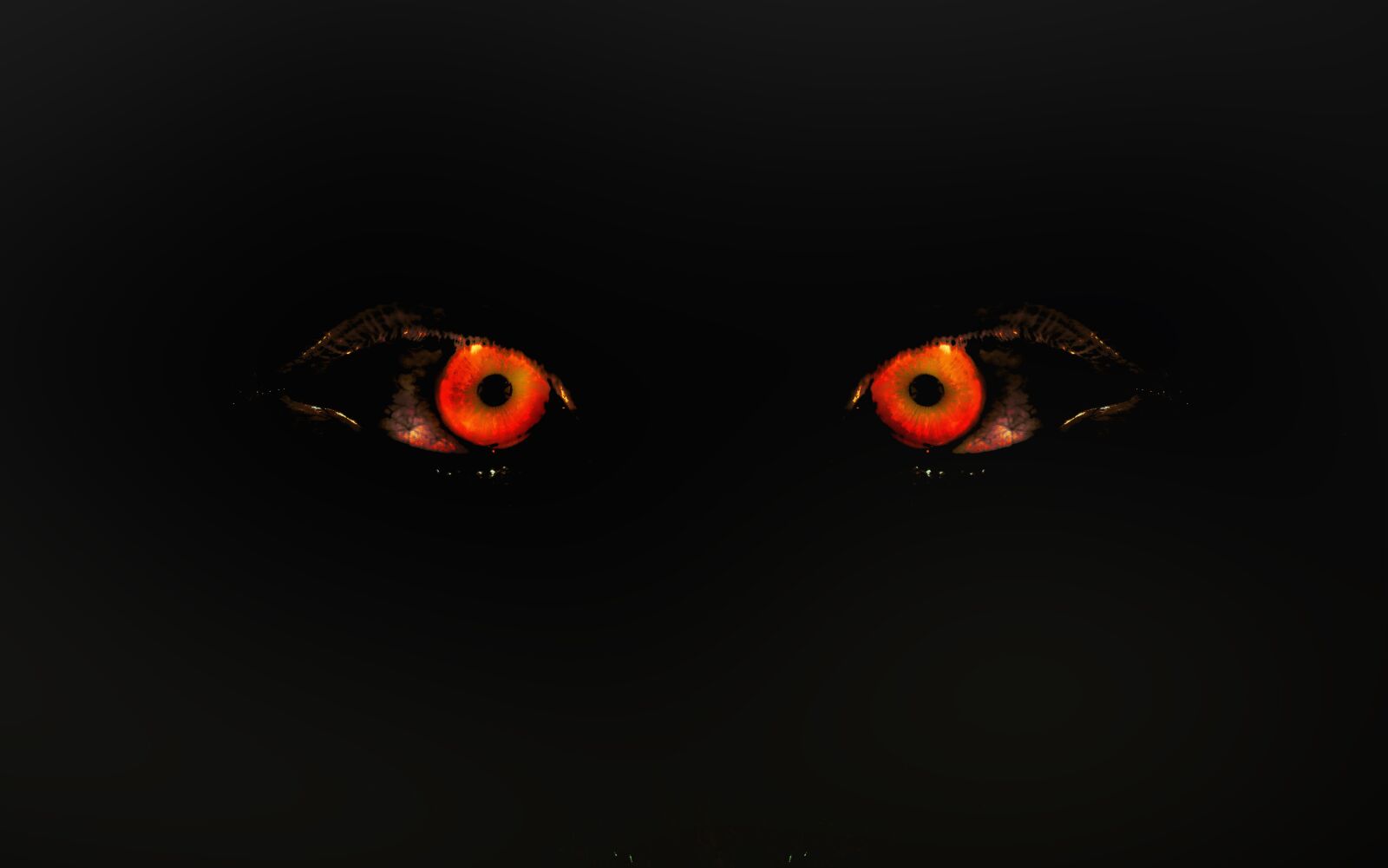 Nikon D3200 sample photo. Eyes, evil eyes, devil photography