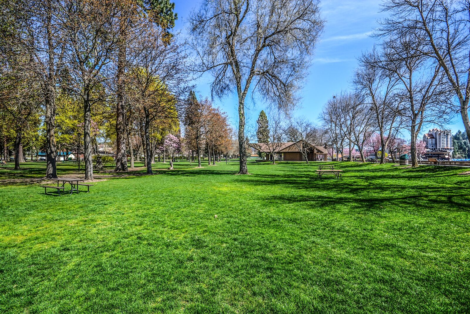 Nikon D5200 sample photo. Park, grass, spring photography