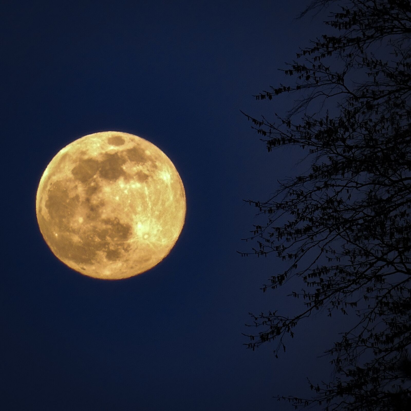 Panasonic Lumix DMC-FZ1000 sample photo. Moon, full moon, night photography