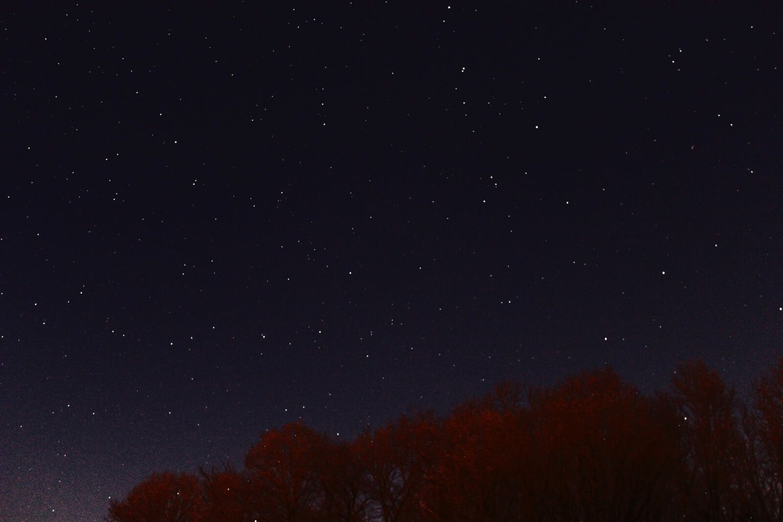 Canon EOS 600D (Rebel EOS T3i / EOS Kiss X5) sample photo. Nature, trees, night photography