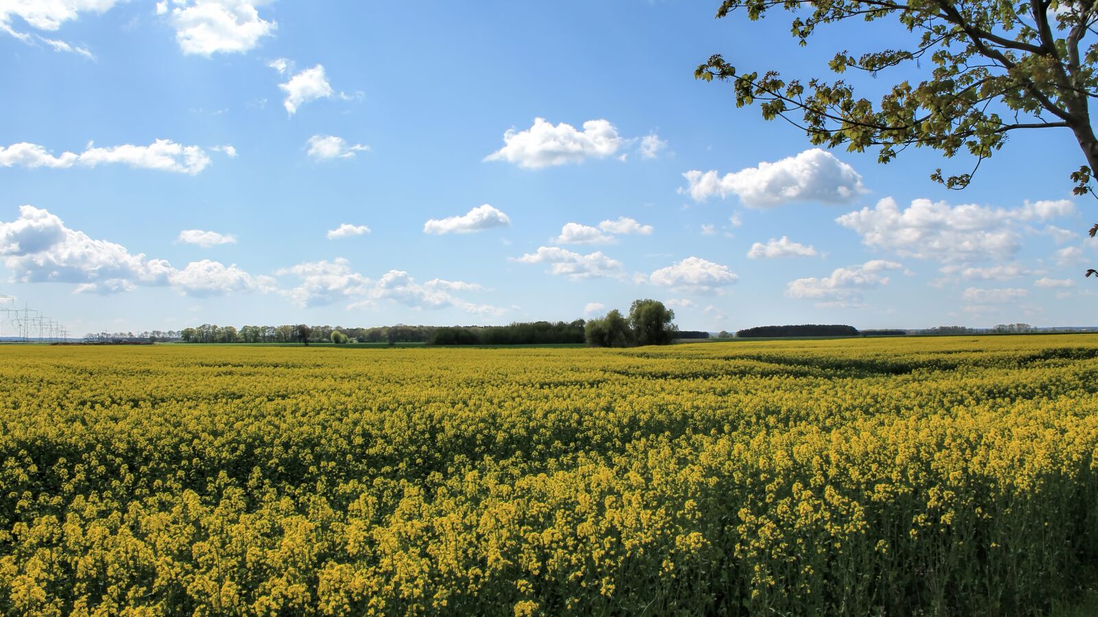 Canon EOS 1100D (EOS Rebel T3 / EOS Kiss X50) sample photo. Landscape, nature, fields photography