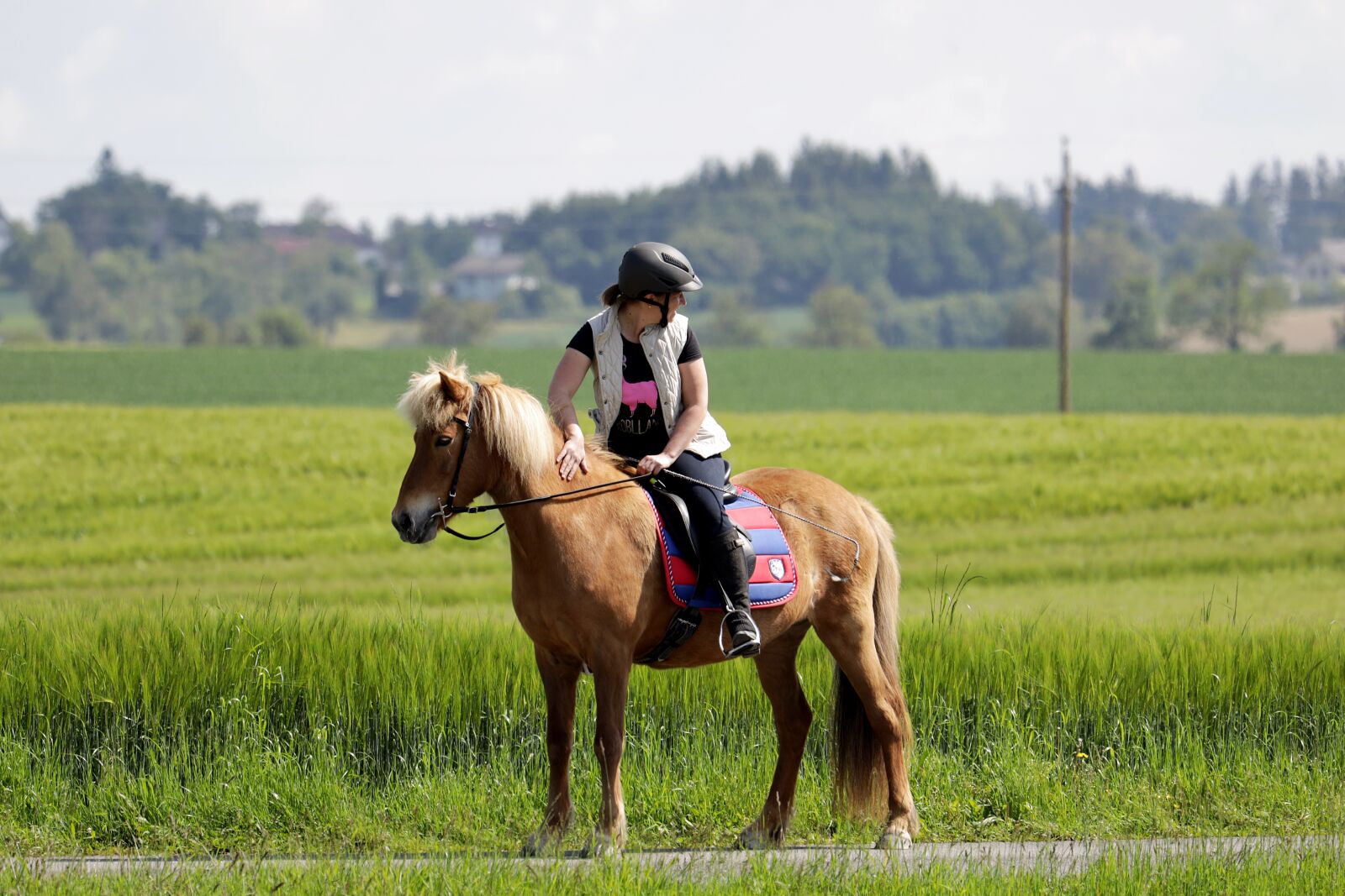 Canon EOS R + Canon EF 70-300 F4-5.6 IS II USM sample photo. Ride, horse, pony photography