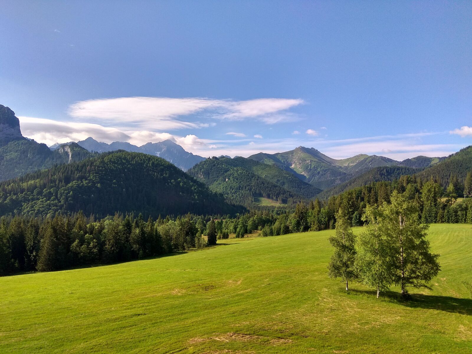 Xiaomi Redmi Note 4 sample photo. Green, landscape, nature photography
