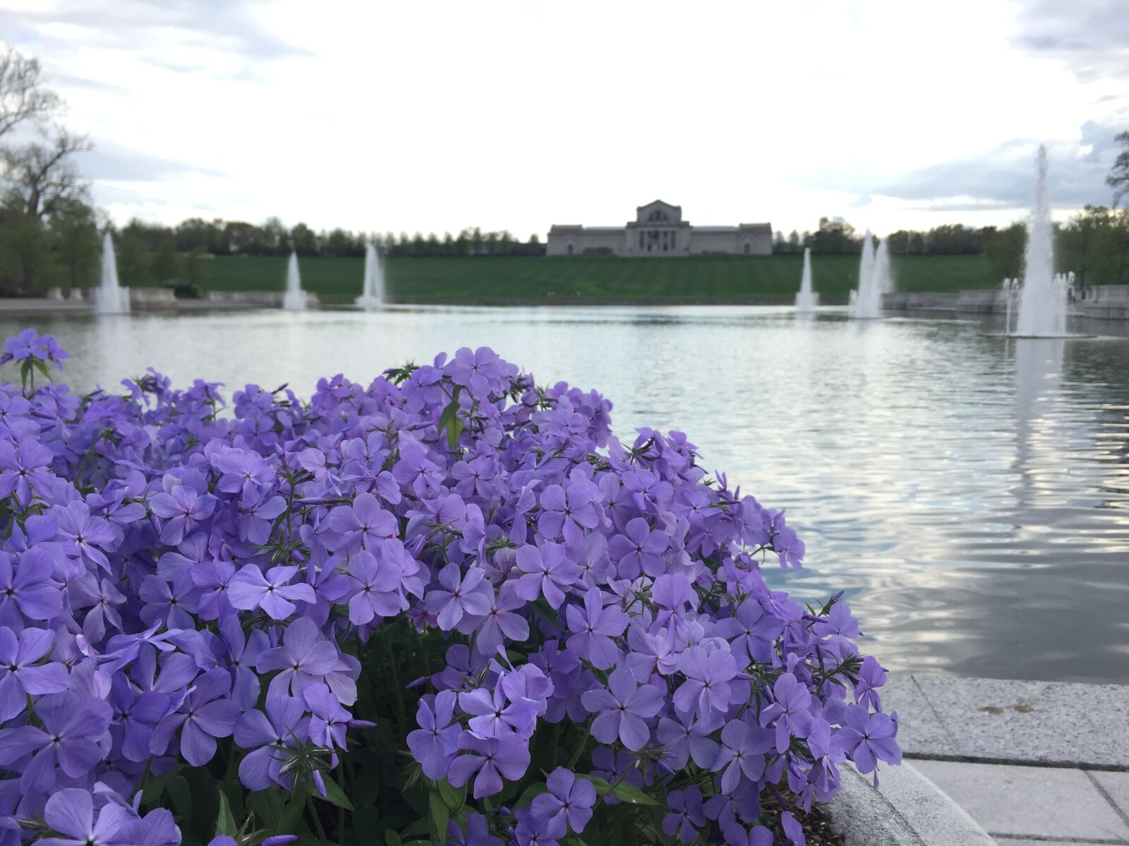 Apple iPhone 6 sample photo. Flower, purple, fountain photography