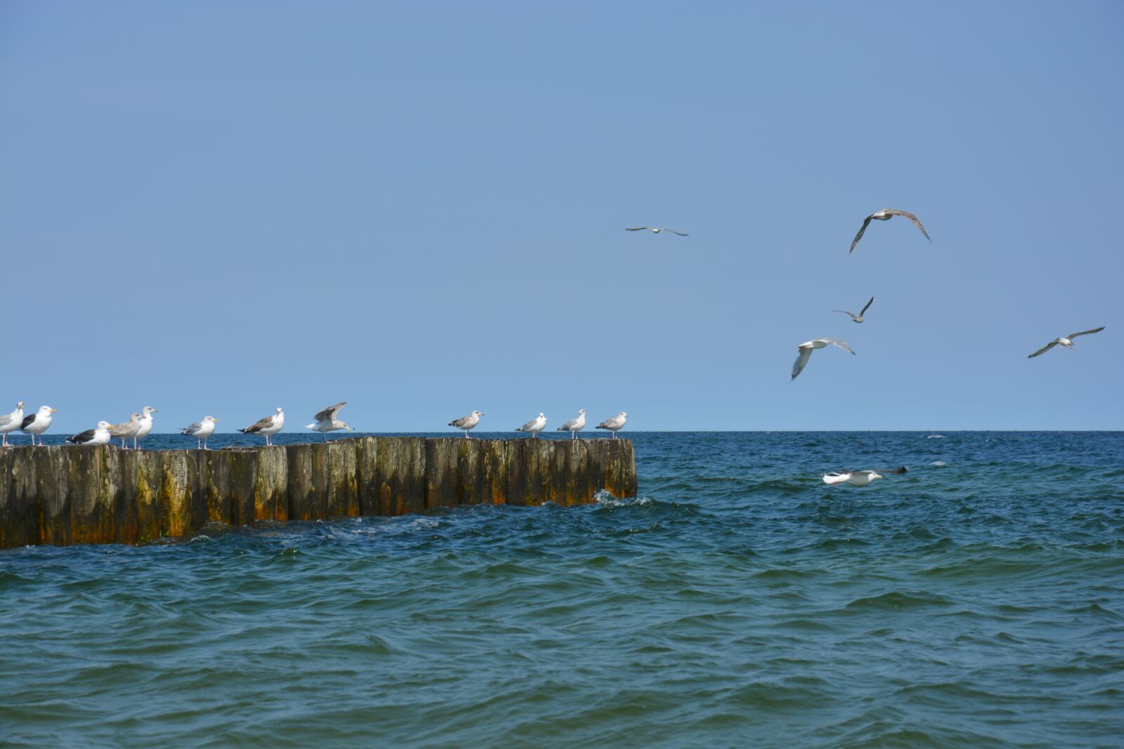 Nikon D5200 sample photo. Sea, sky, nature photography