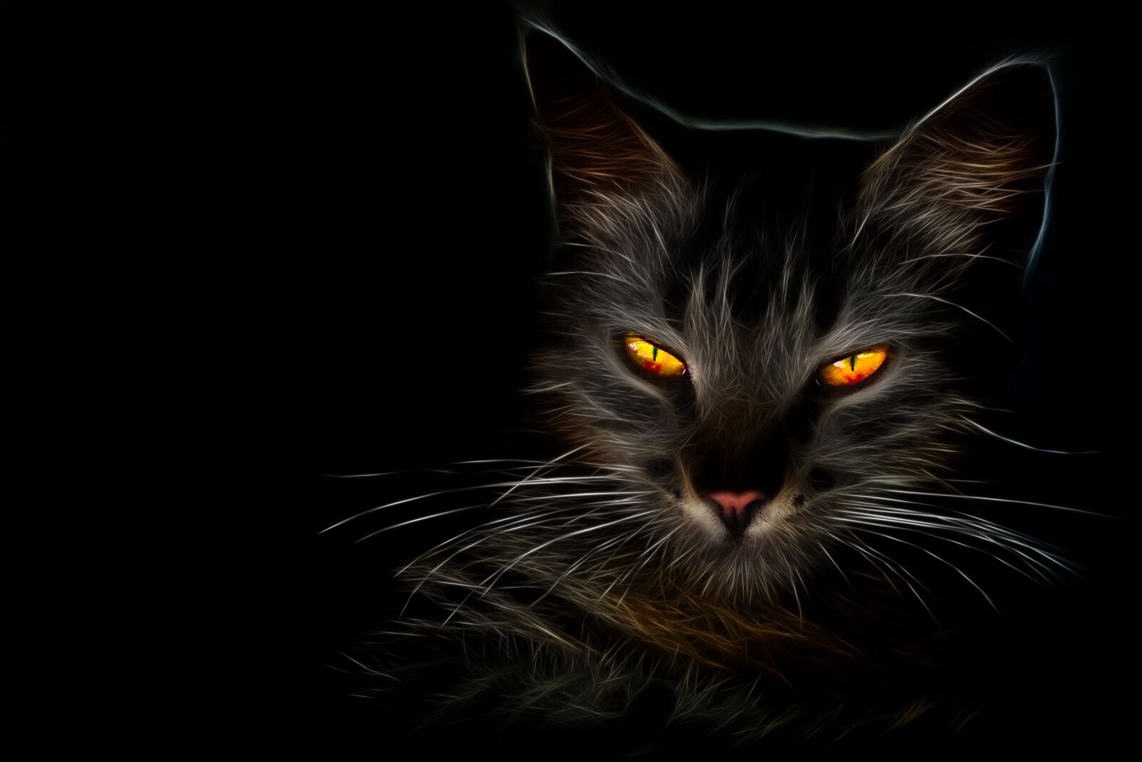 Nikon D7200 sample photo. Fractalius, cat, fiery photography