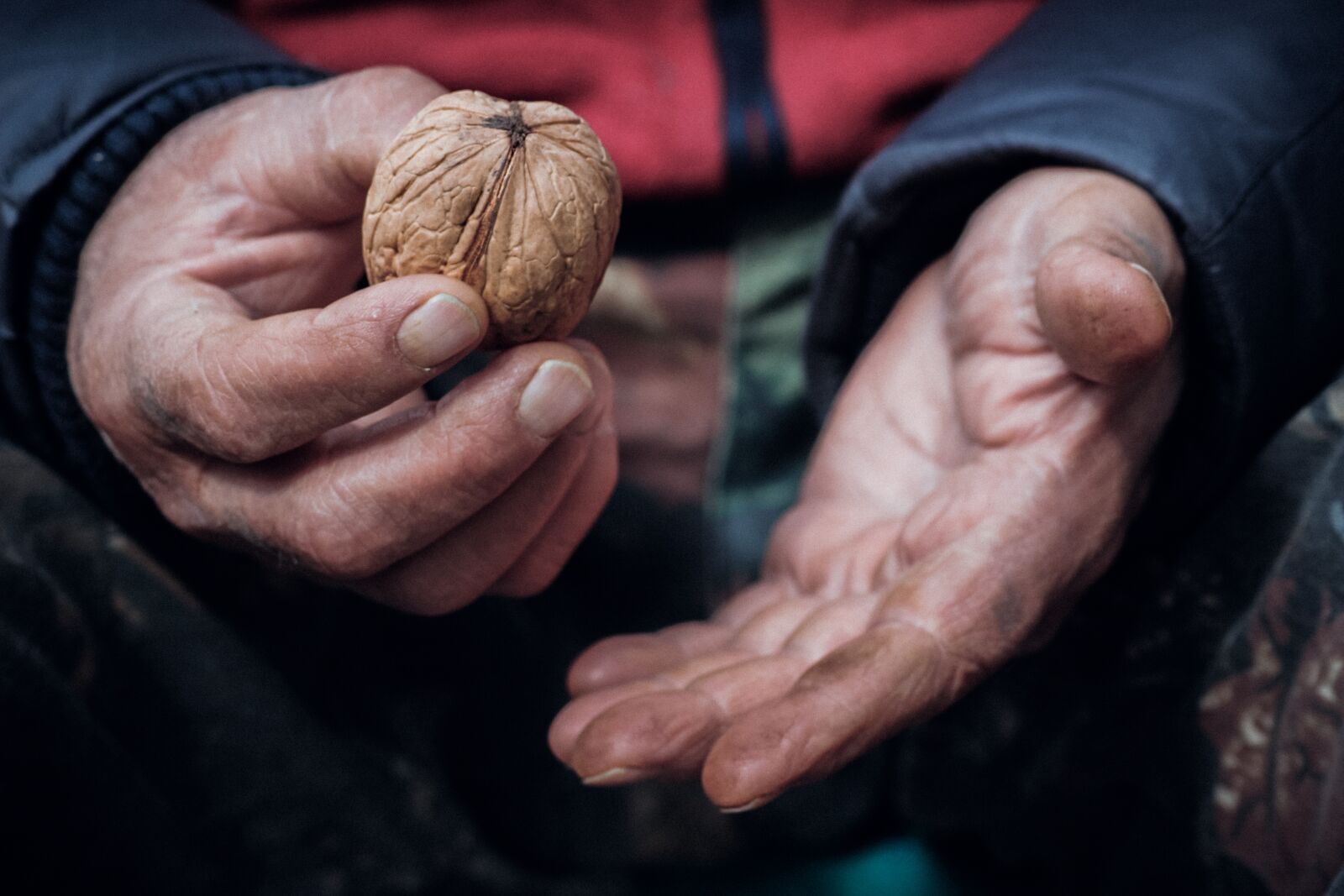 Canon EOS 600D (Rebel EOS T3i / EOS Kiss X5) sample photo. Hands, nuts, food photography
