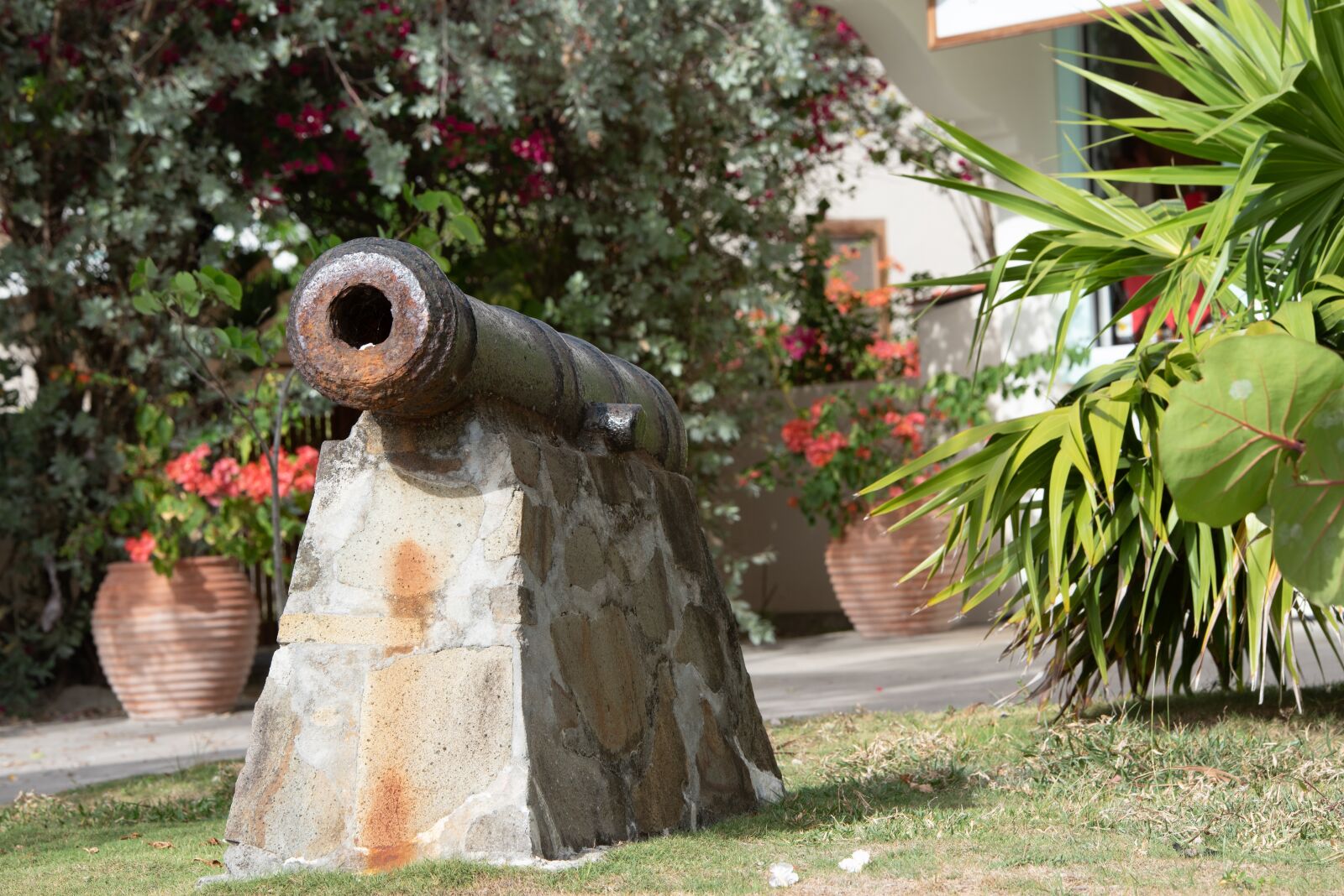Nikon D750 sample photo. Cannon, fort, big gun photography